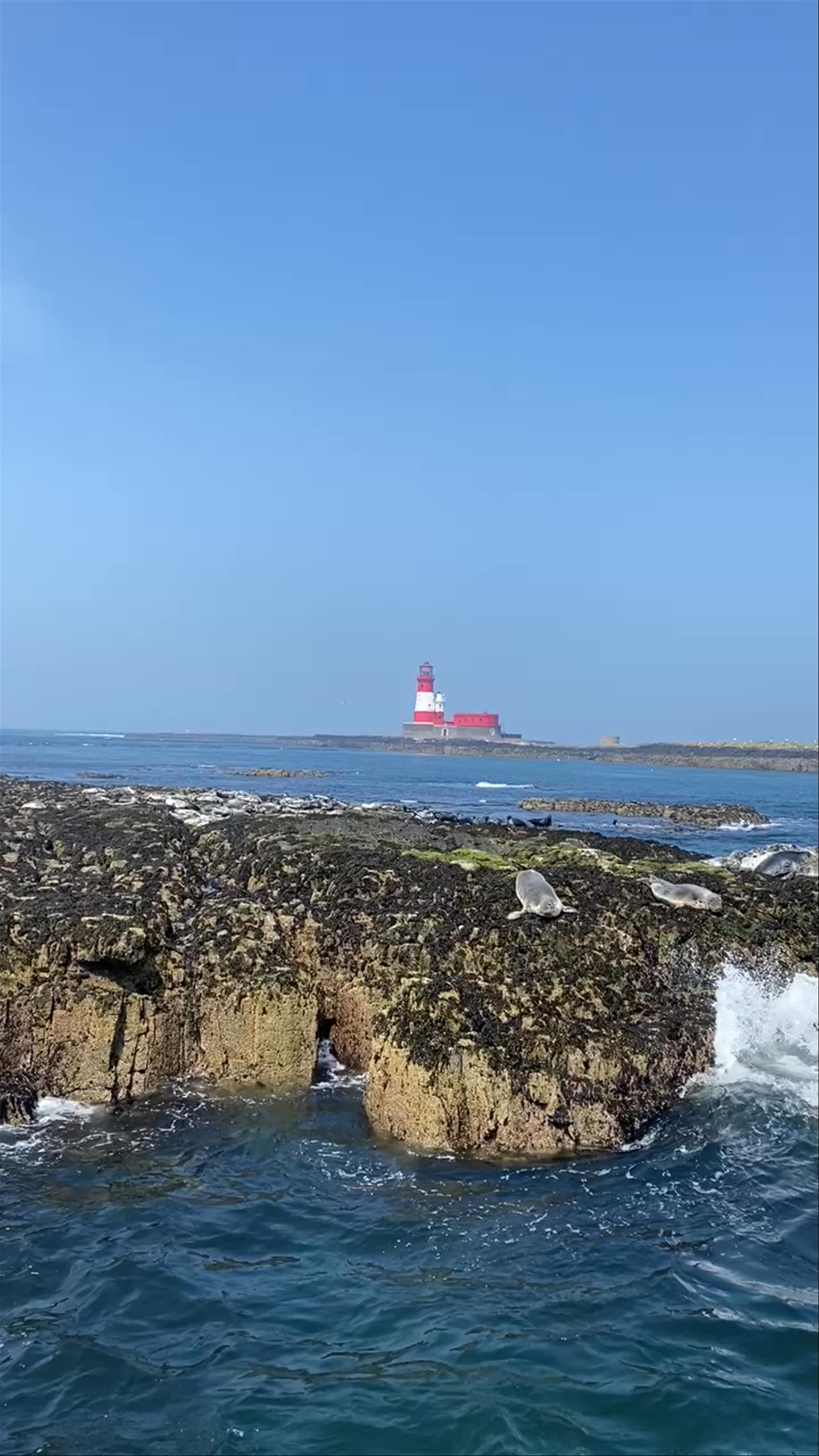 Farne Islands