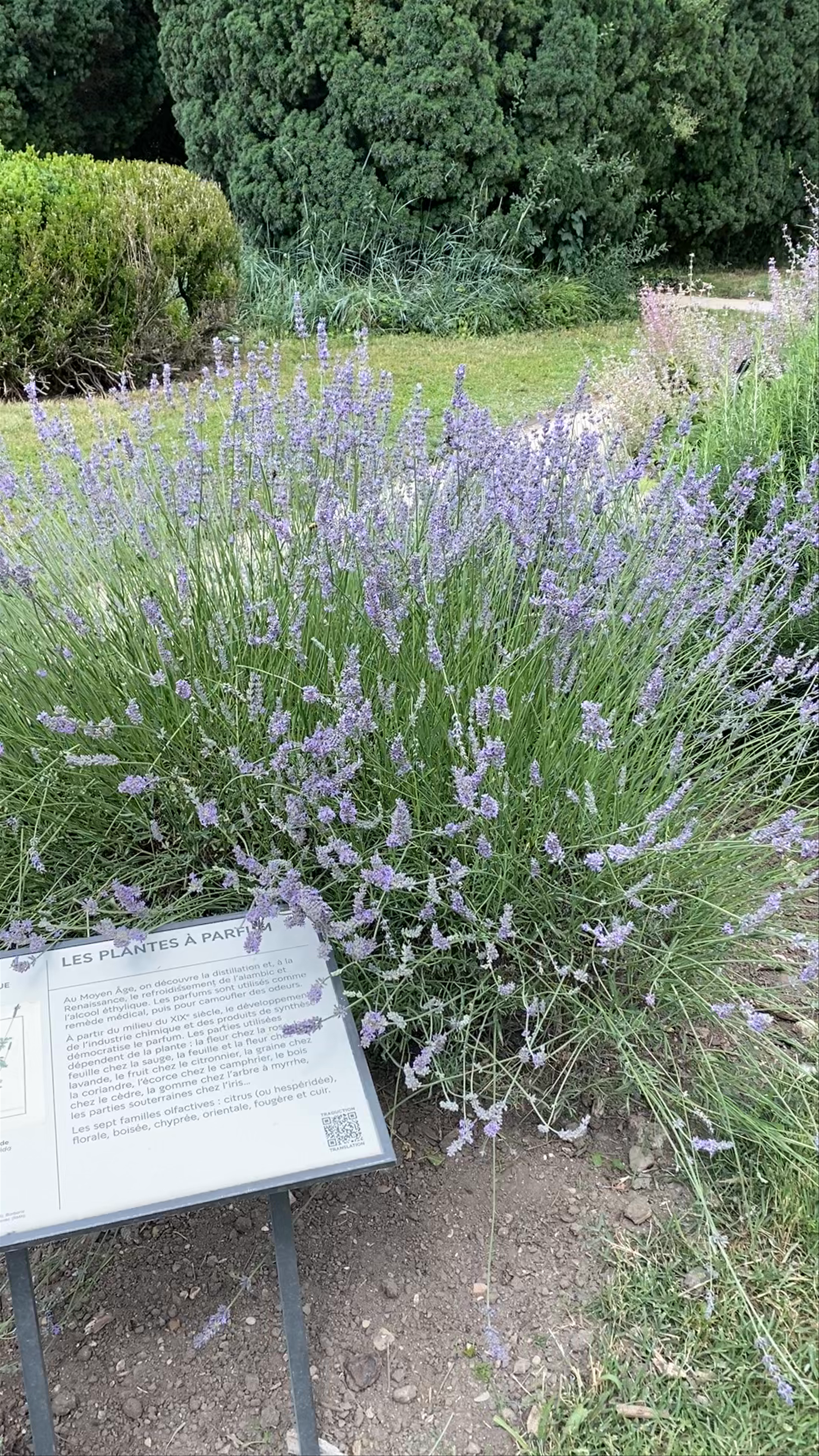 A Serene Walk Through Jardin des Plantes, Paris
