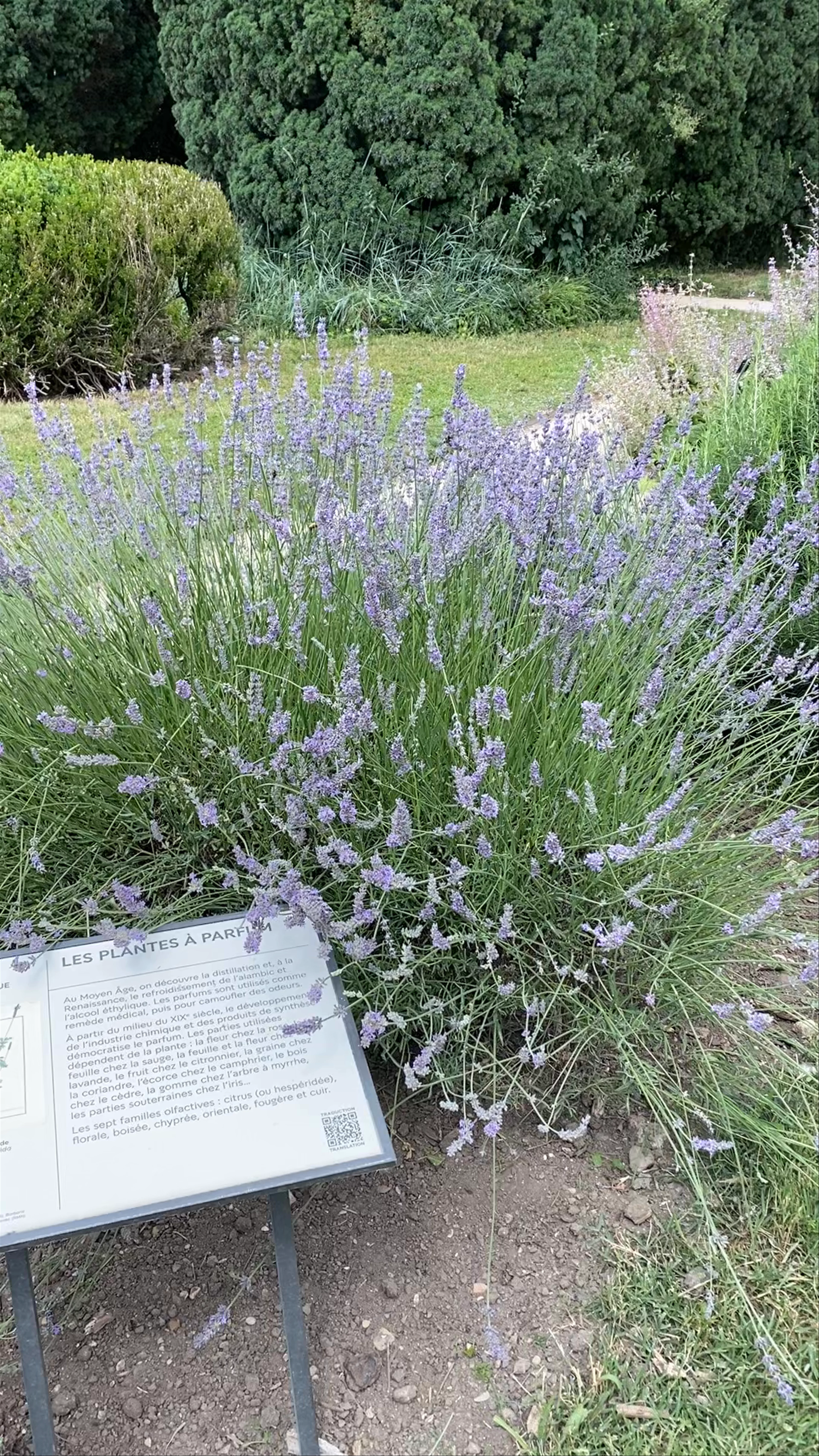 Jardin des Plantes