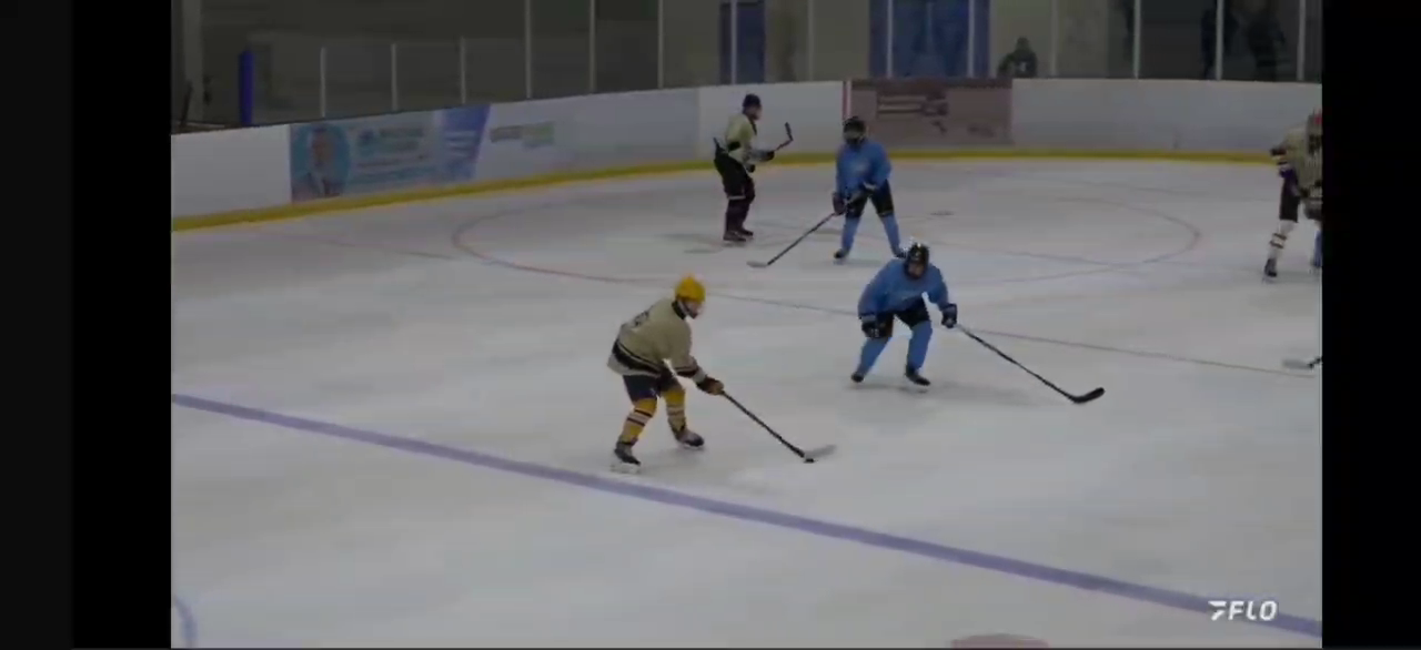 Vsevolod Bashutin: Stoney Creek Generals PP Goal Highlights