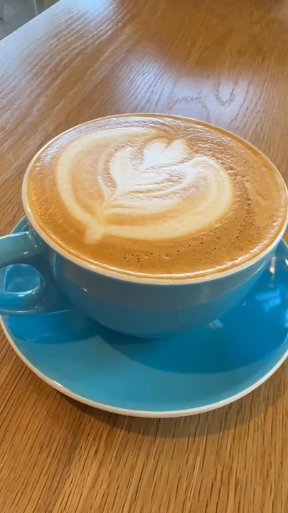 Futura Coffee Roasters - cool mugs and vibes - Coffee Roasteries Near Me - Amherst, Massachusetts