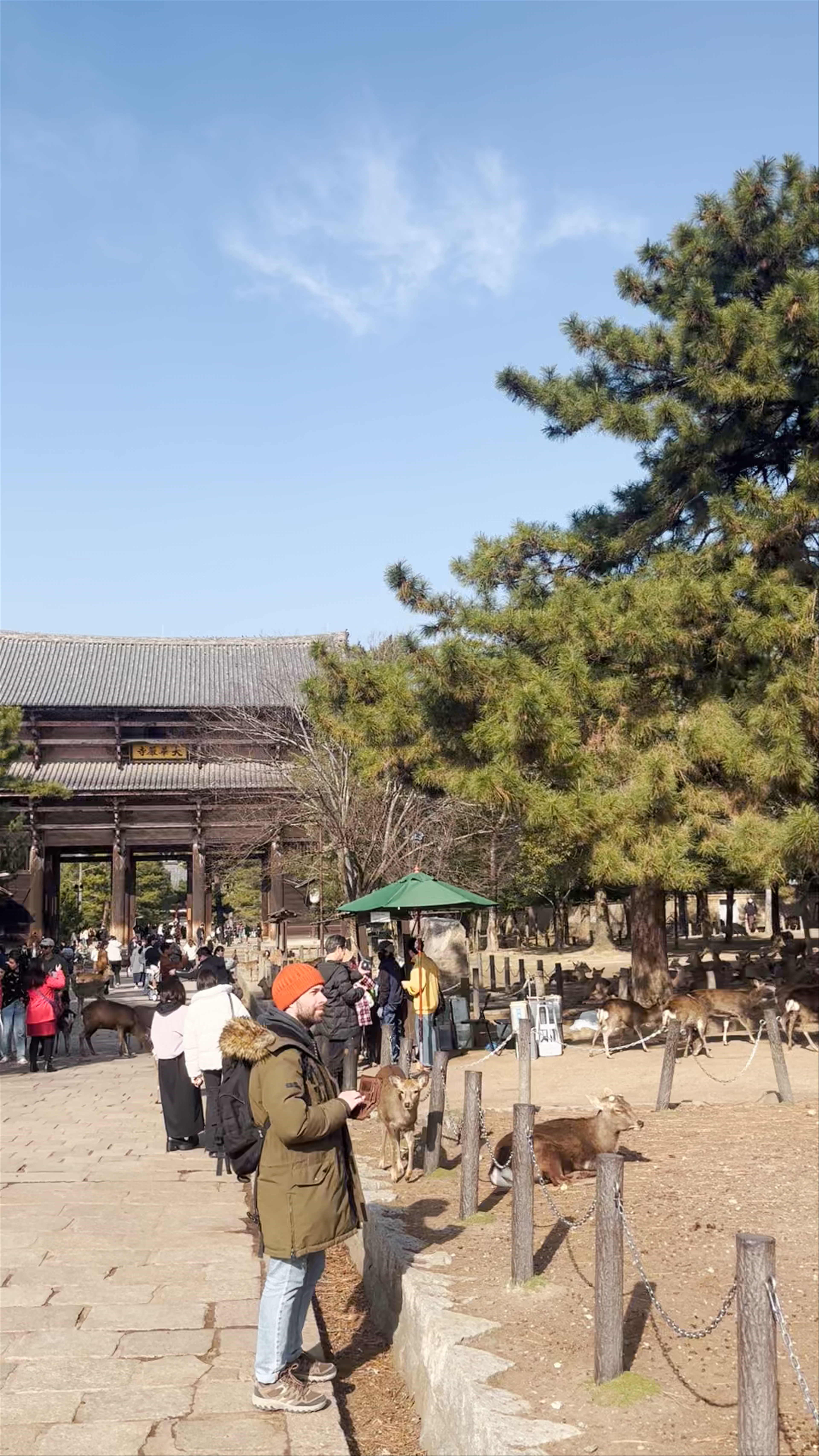 Todaiji Nandaimon (Great South Gate) in Nara: Ancient Majesty Meets Gentle Deer