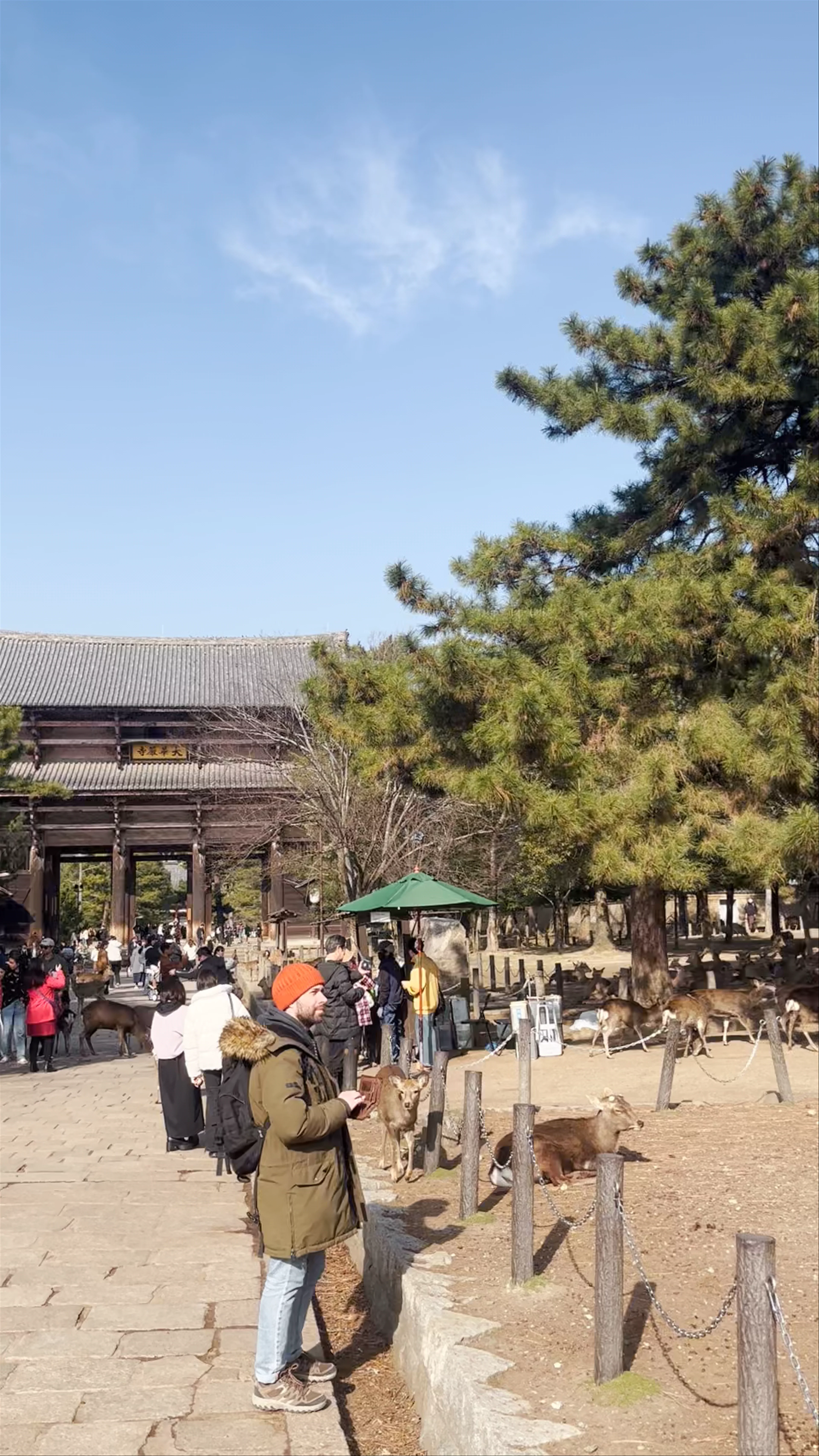 Todaiji Nandaimon (Great South Gate)