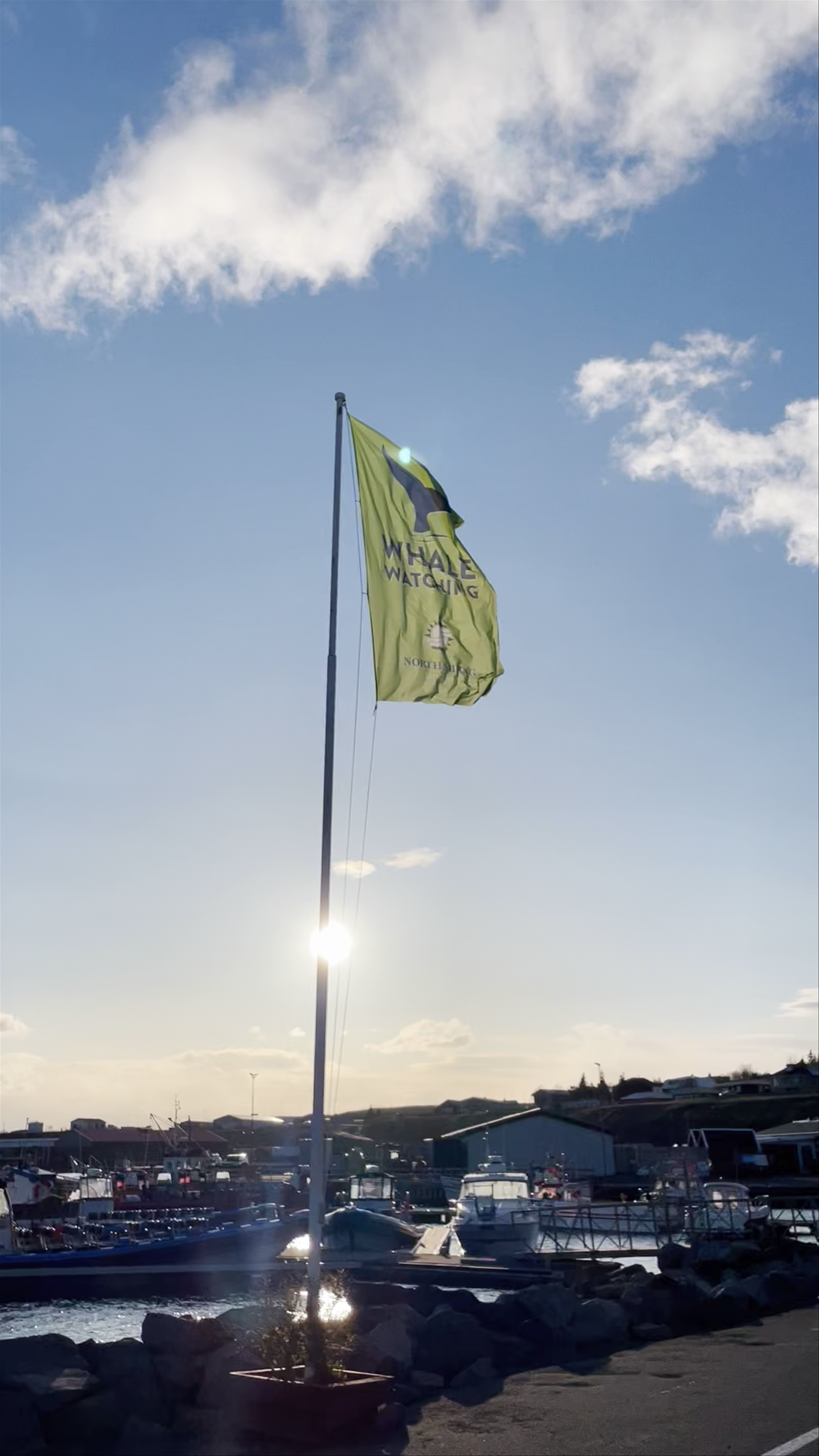 North Sailing - Húsavík Whale Watching