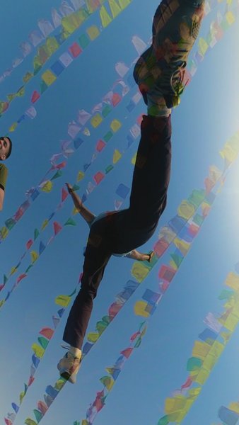 Photo of "We don't need wings