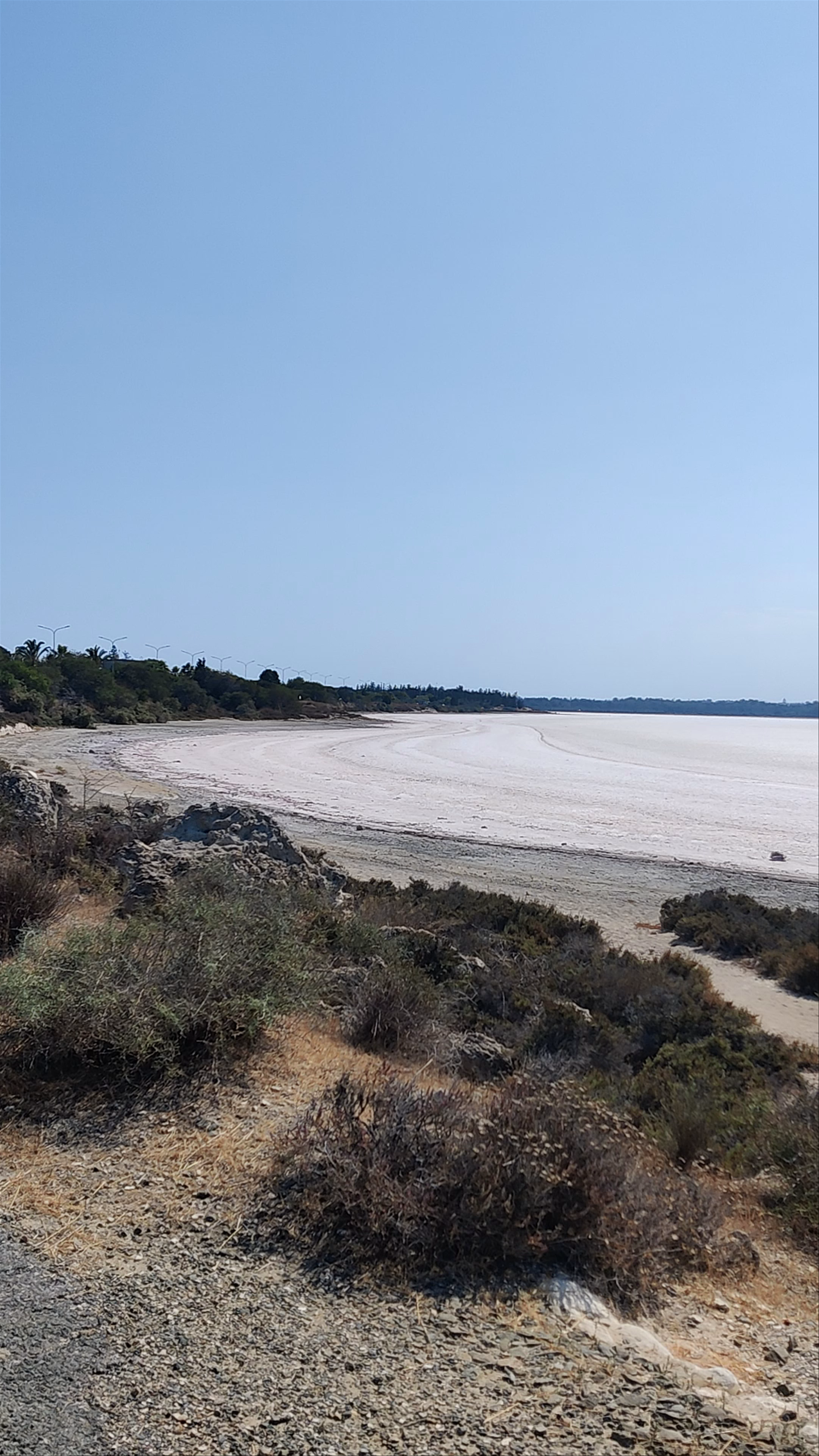 Larnaca Salt Lake: A Serene Salt Pan Escape in Cyprus