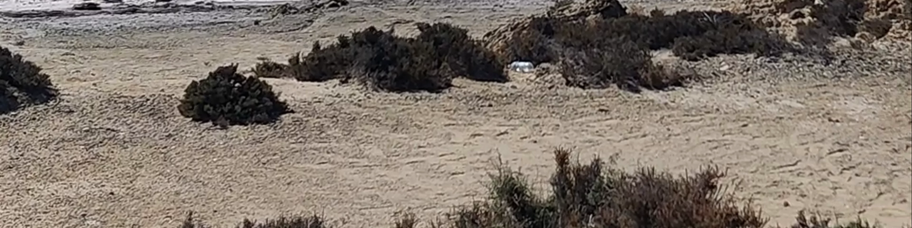 Larnaca Salt Lake