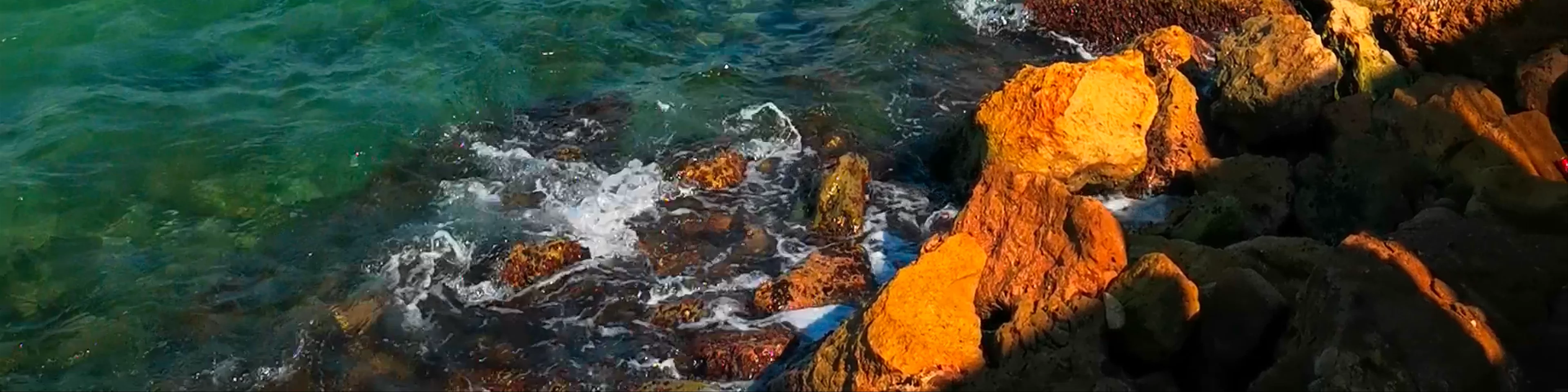 Tel Aviv Jaffa Seaside
