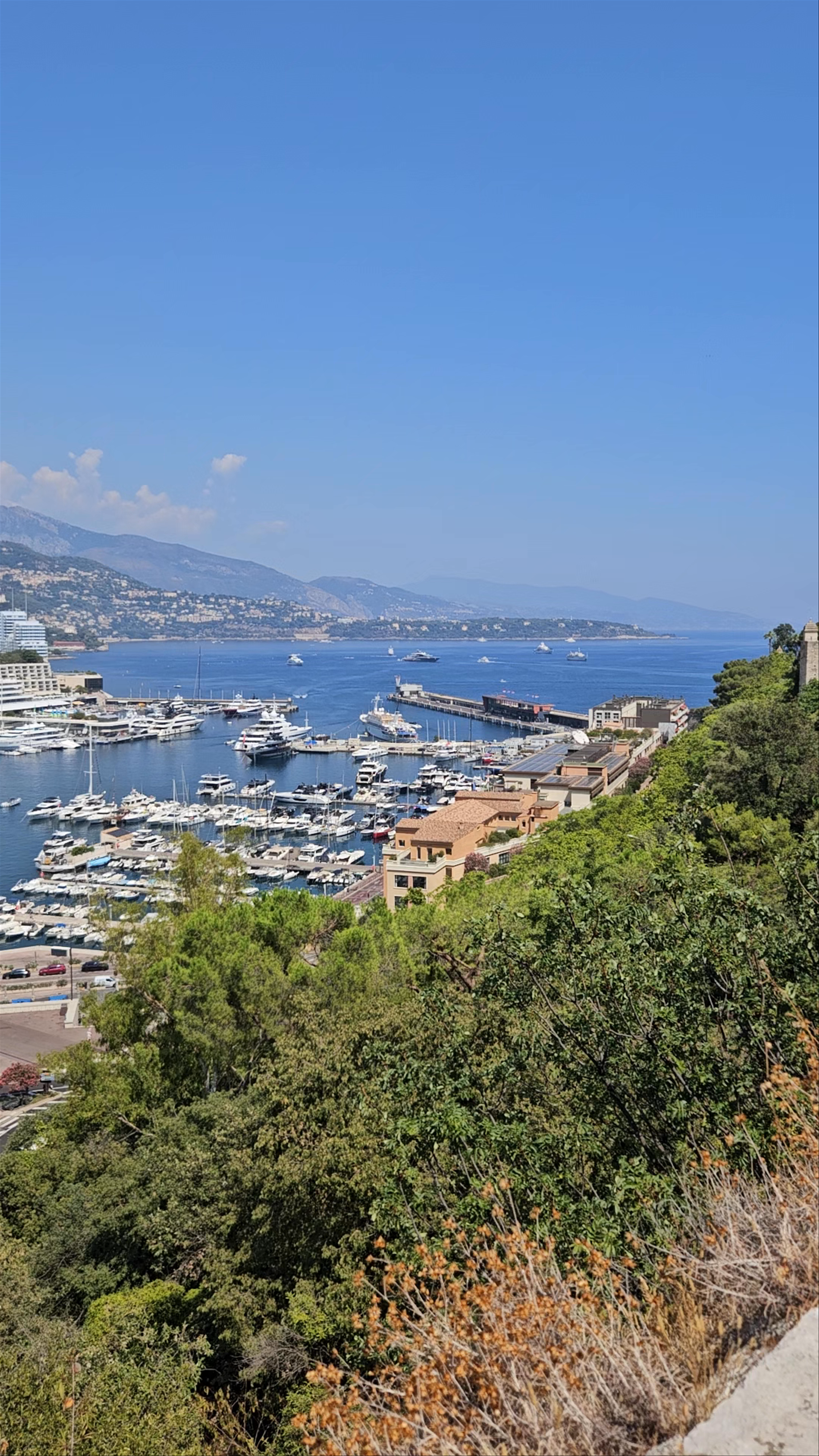 Port of Fontvieille viewpoint