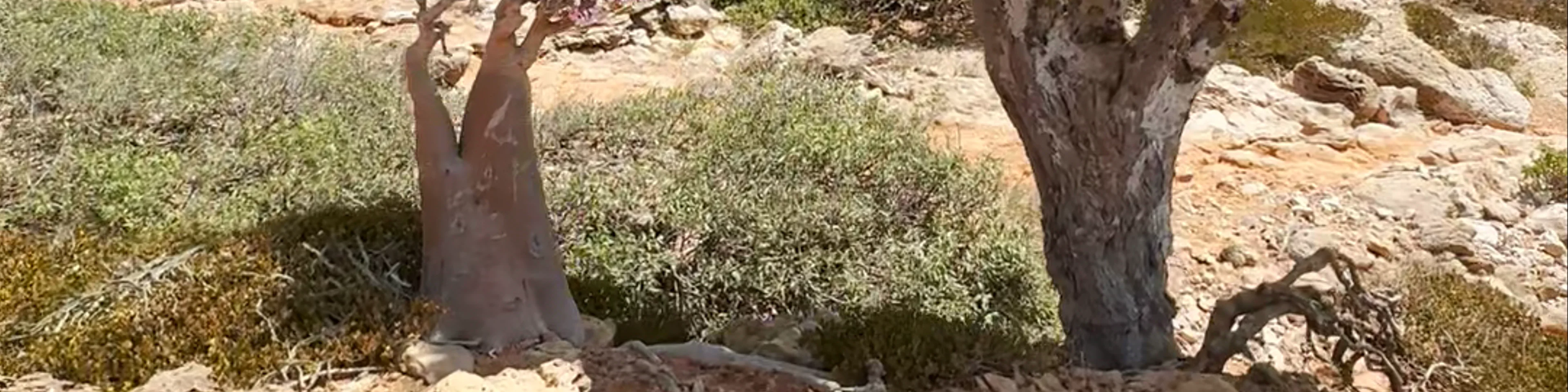 Hajhir Mountains