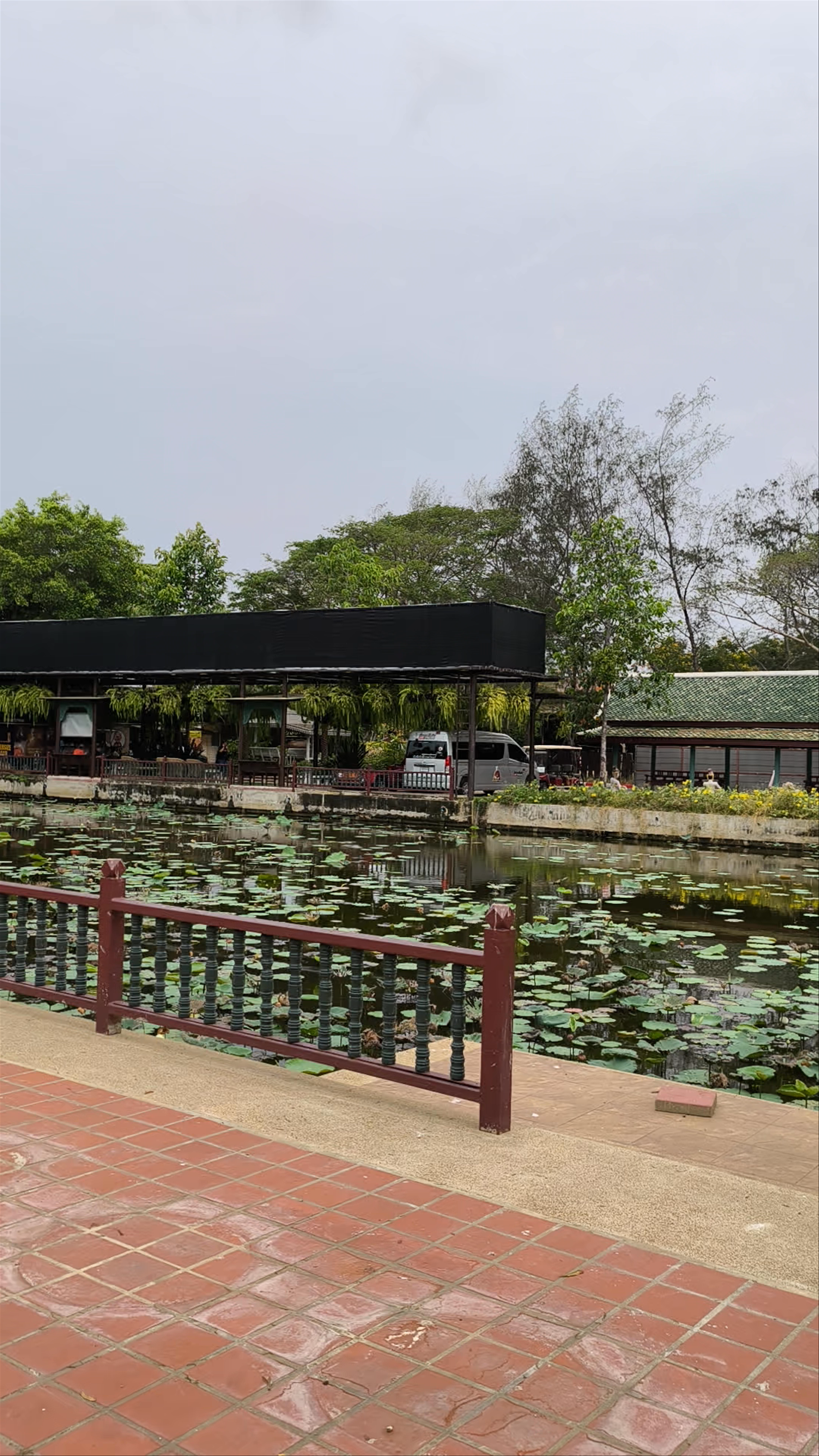 Tranquil Lotus Pond at Pavilion of the Enlightened, Phraeksa, Thailand