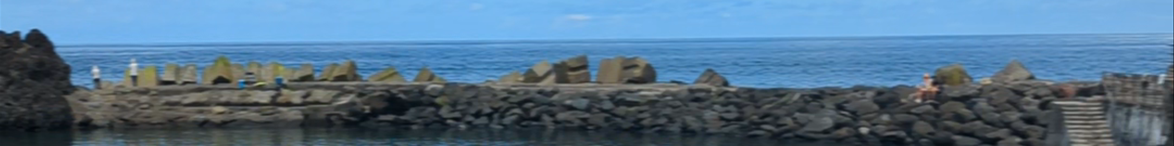 Tours & experiences in Madeira