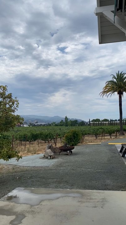 Corison Winery - Wineries Near Me - Saint Helena, California