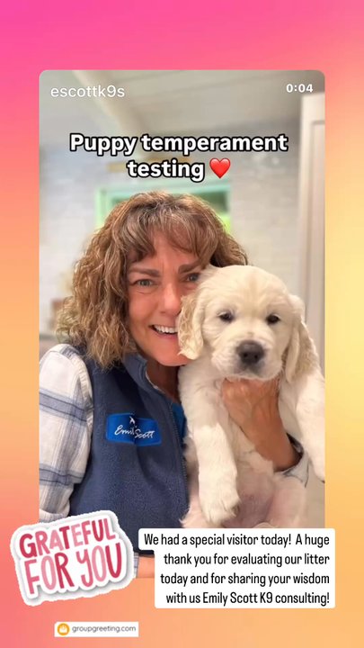 Emily Scott - Pet Training Near Me