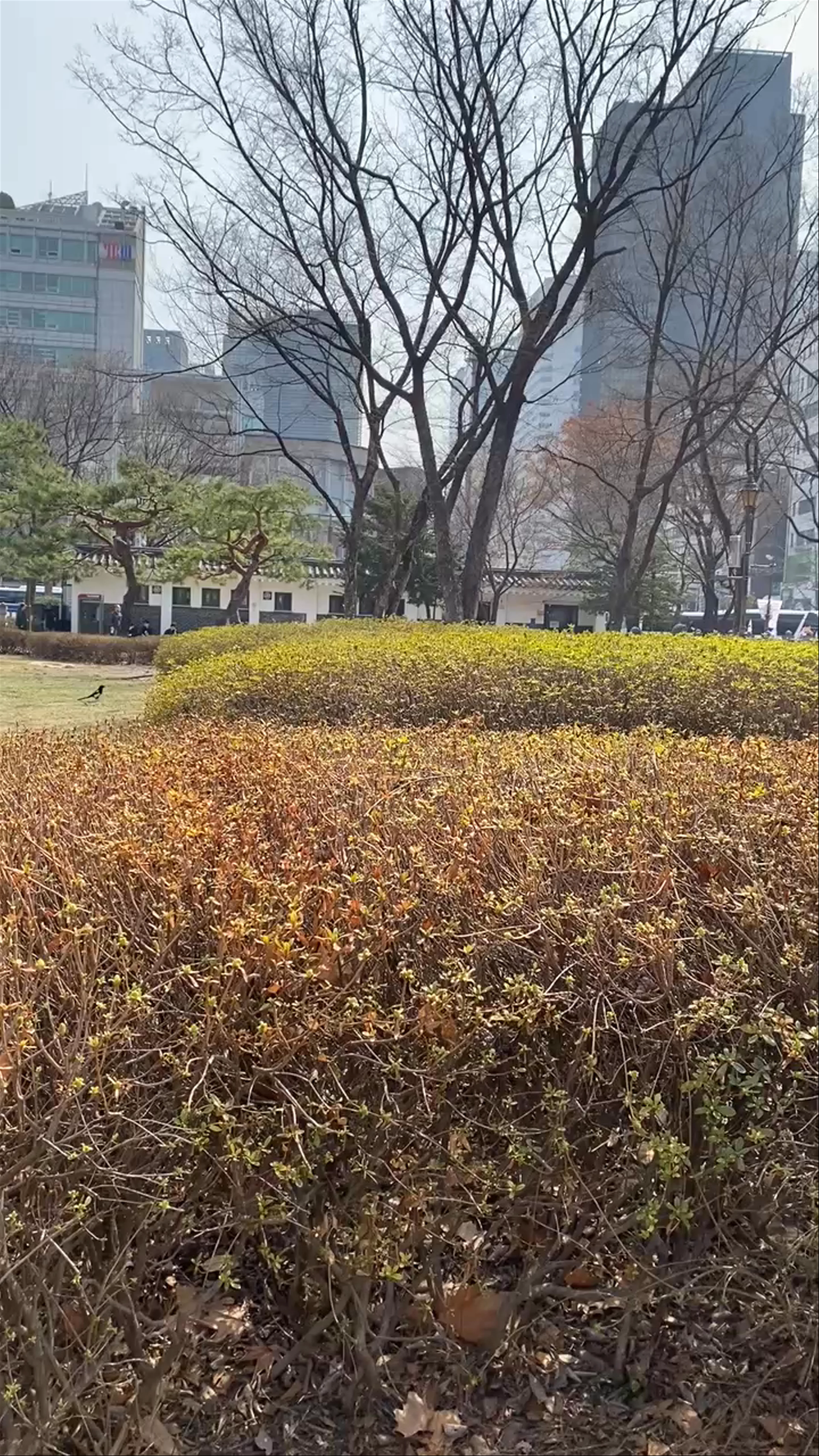 Tapgol Park