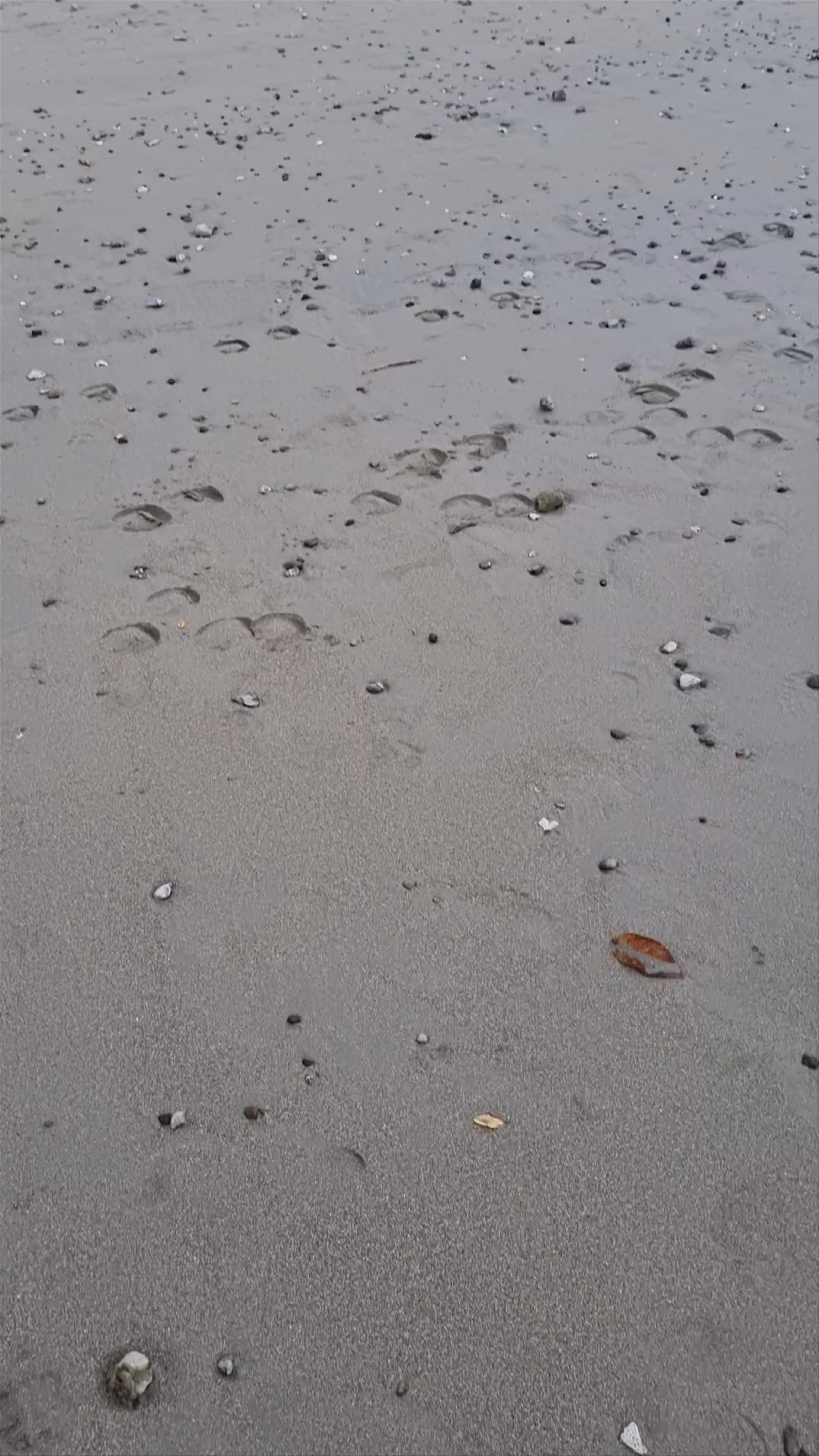 Playa Espadilla Norte: A Tranquil Beach Escape in Quepos, Costa Rica
