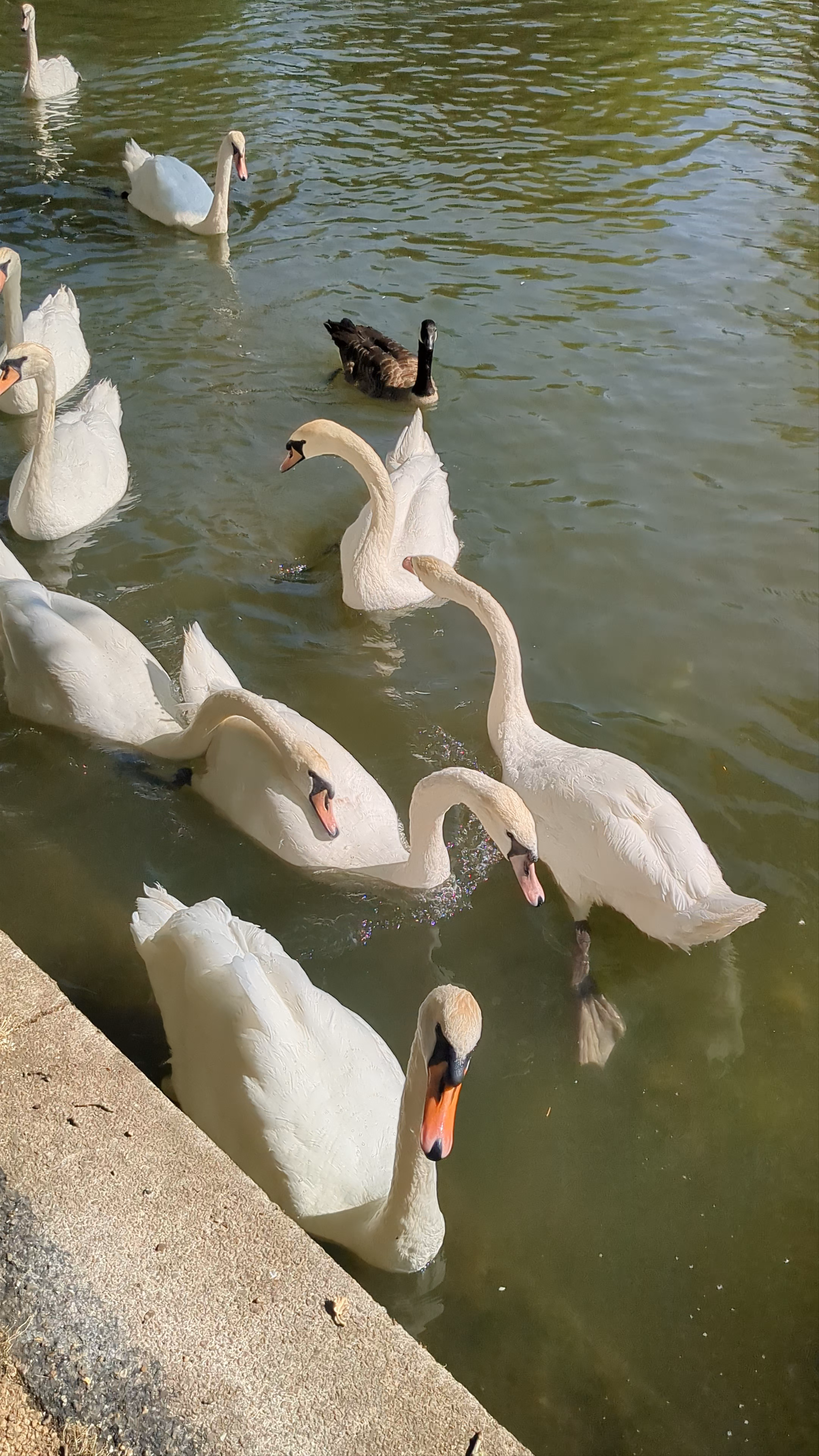 Embankment riverside