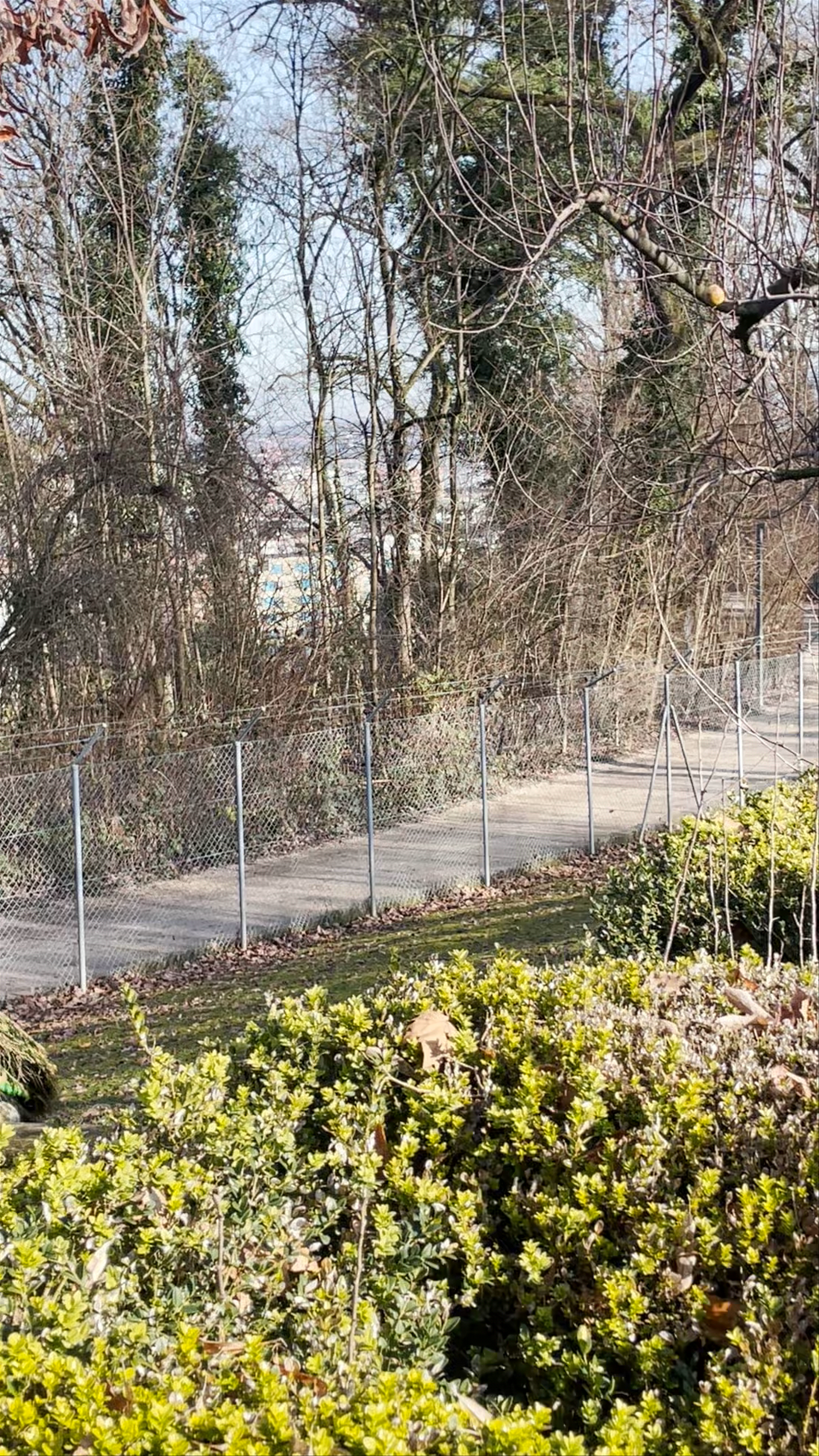 Parc aux animaux du Bois-de-la-Bâtie