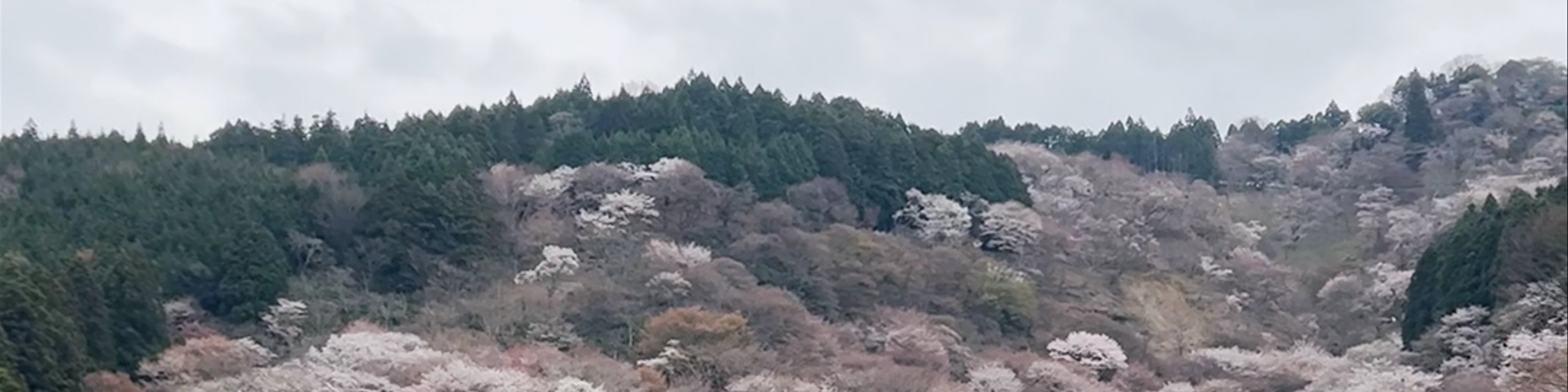 Mount Yoshino