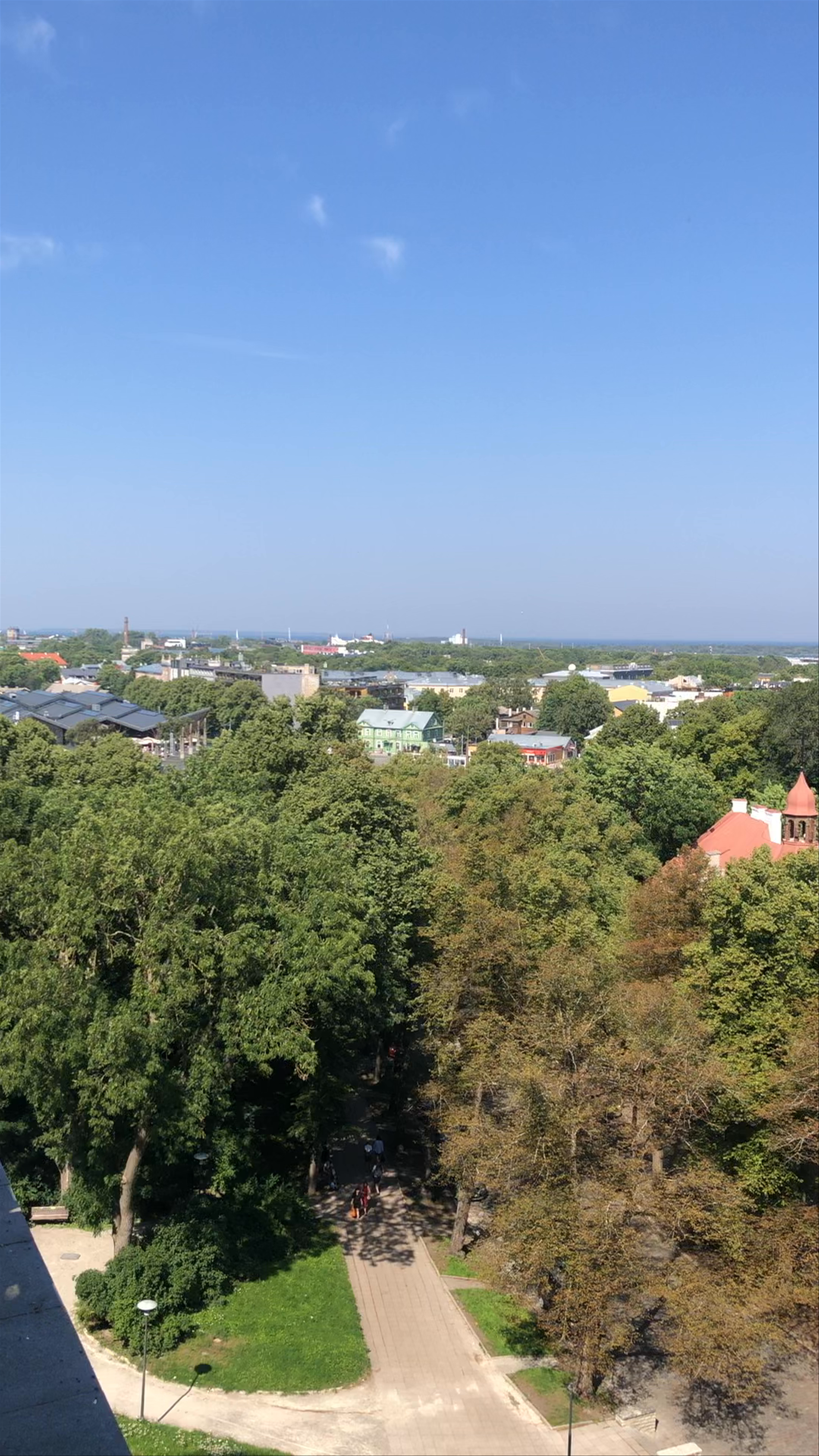 Kohtuotsa viewing platform