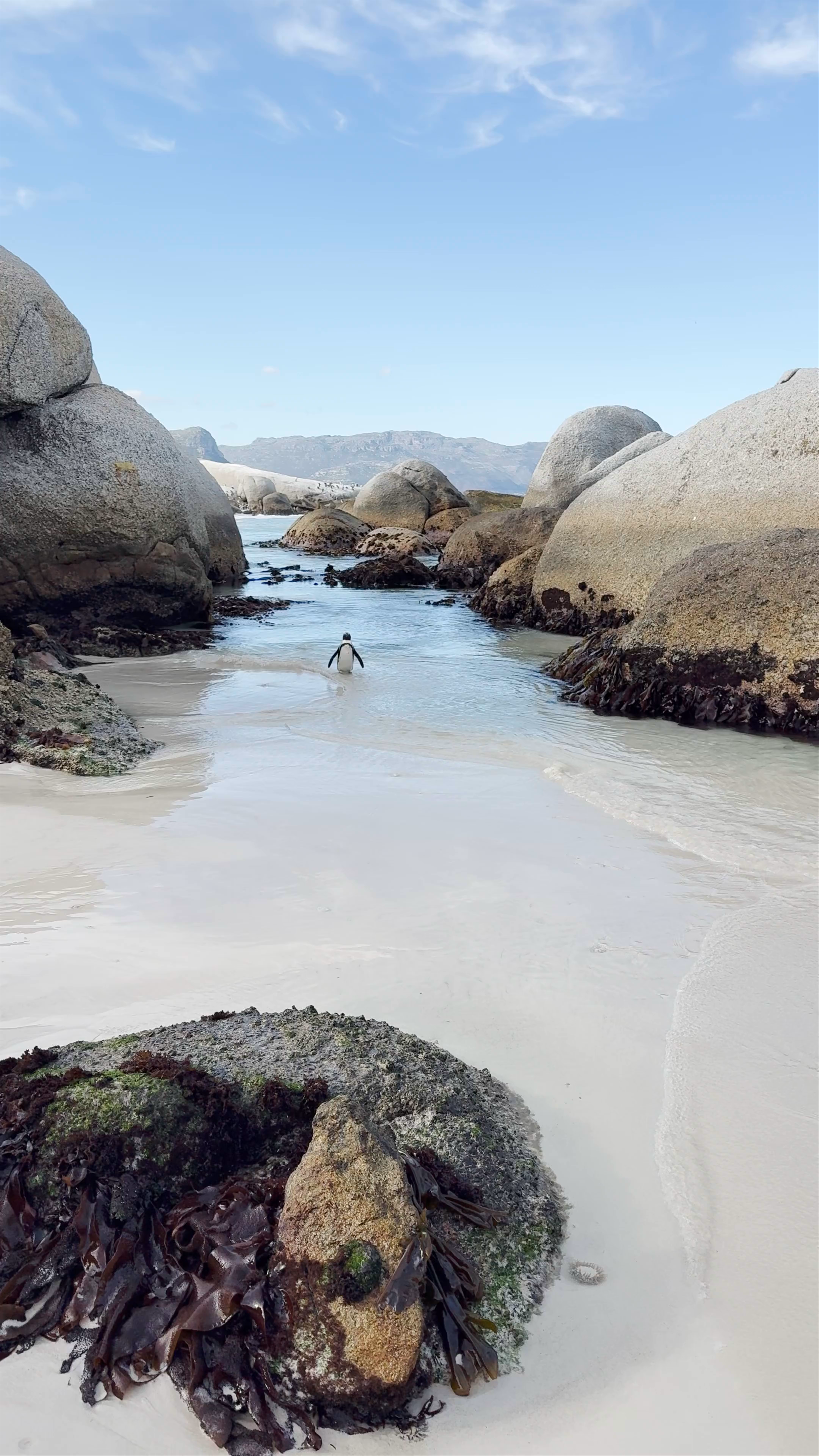 Boulders Beach