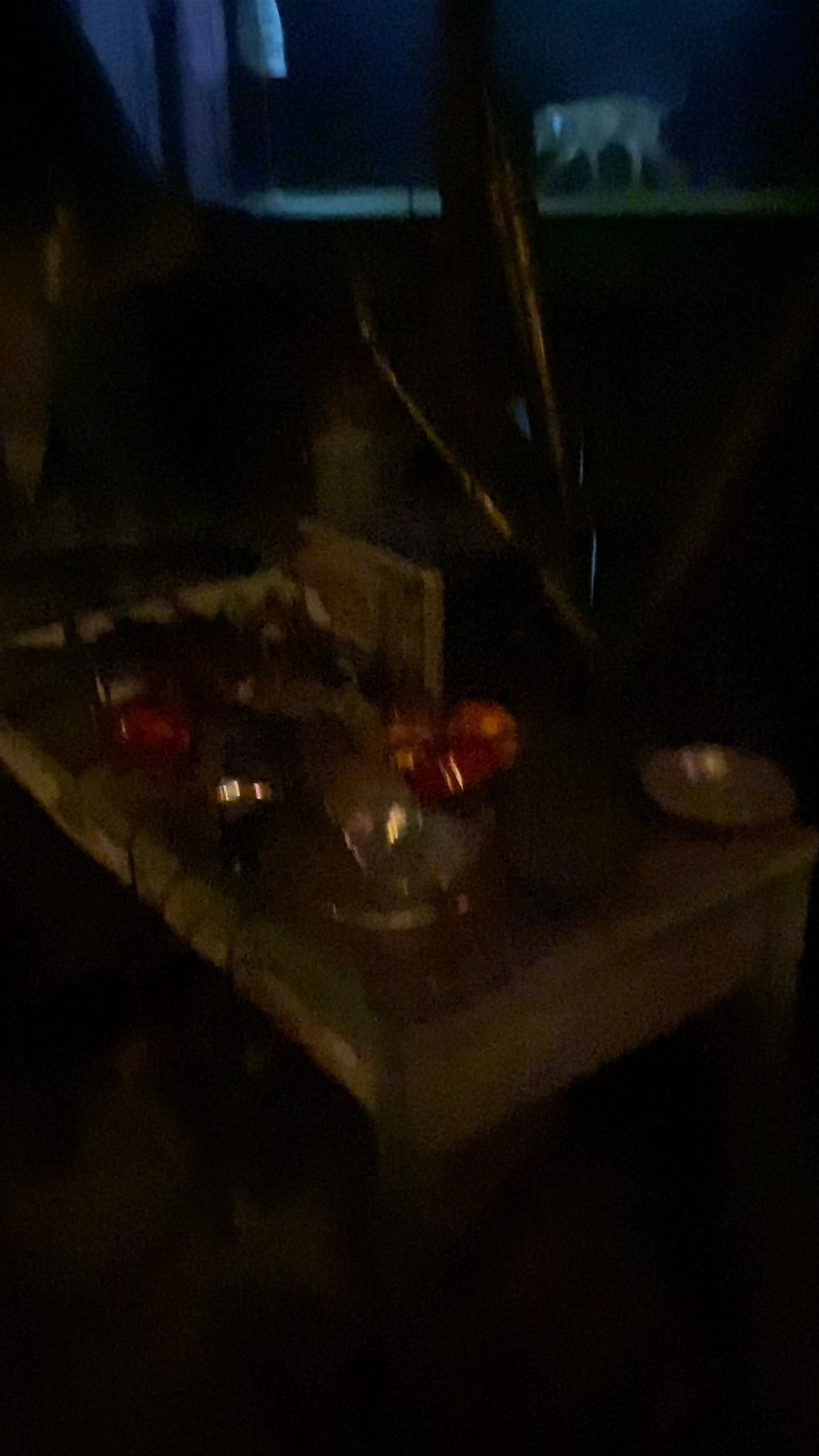 Hagrid’s Hut 