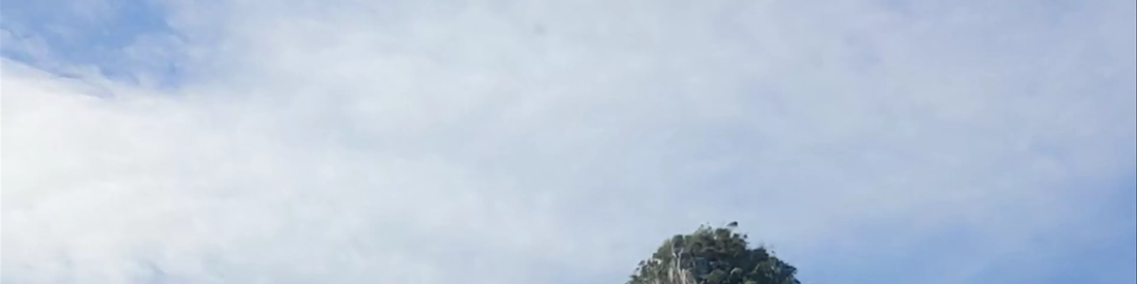 Hong Island