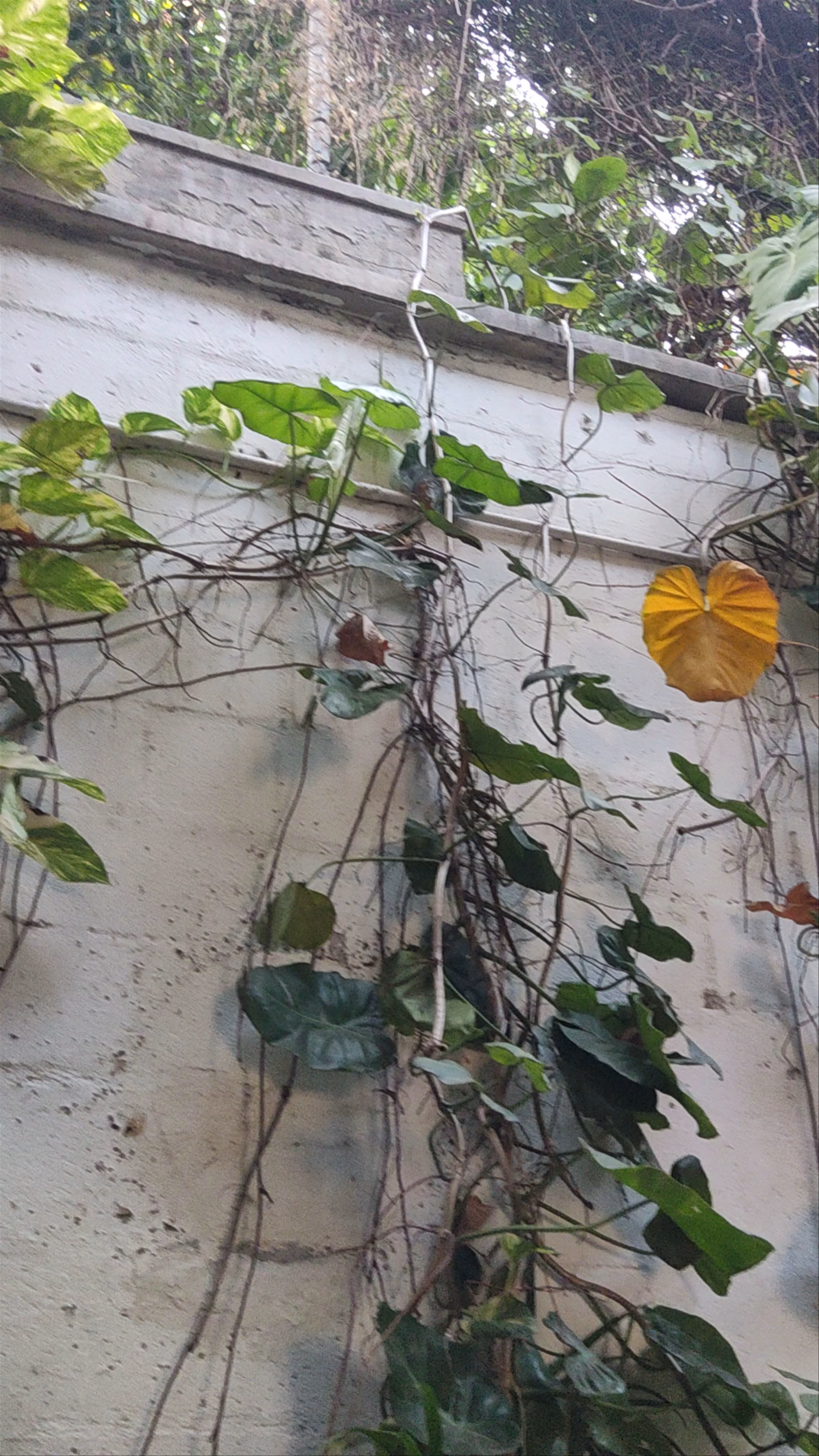 Santuario Getsemaní Hostel