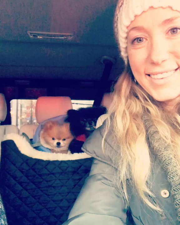 Healing Tails - Kodiak & Cheddar sad after being forced to leave Dr. Arielle!They love her dearly.They even run toward the clinic door when we say her name! - Holistic Animal Care Near Me - Chicago, Illinois