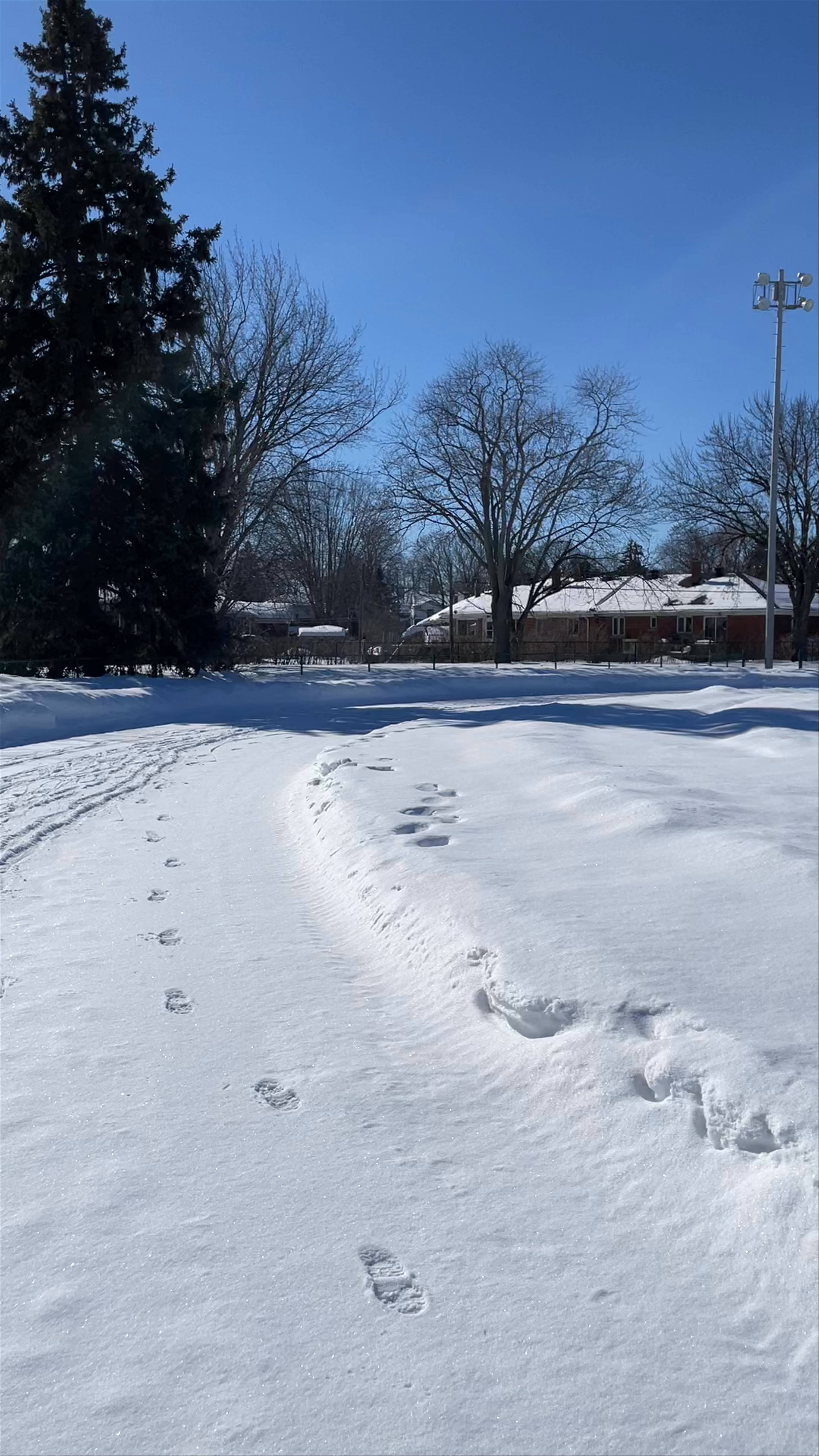 Parc Saint-Laurent