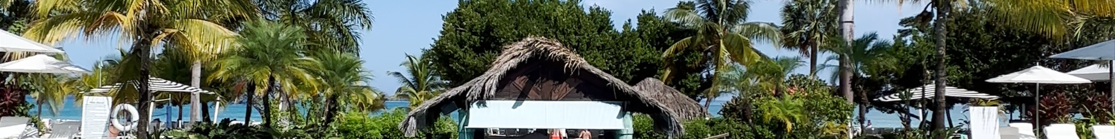 Tours & experiences in Savanna-la-Mar