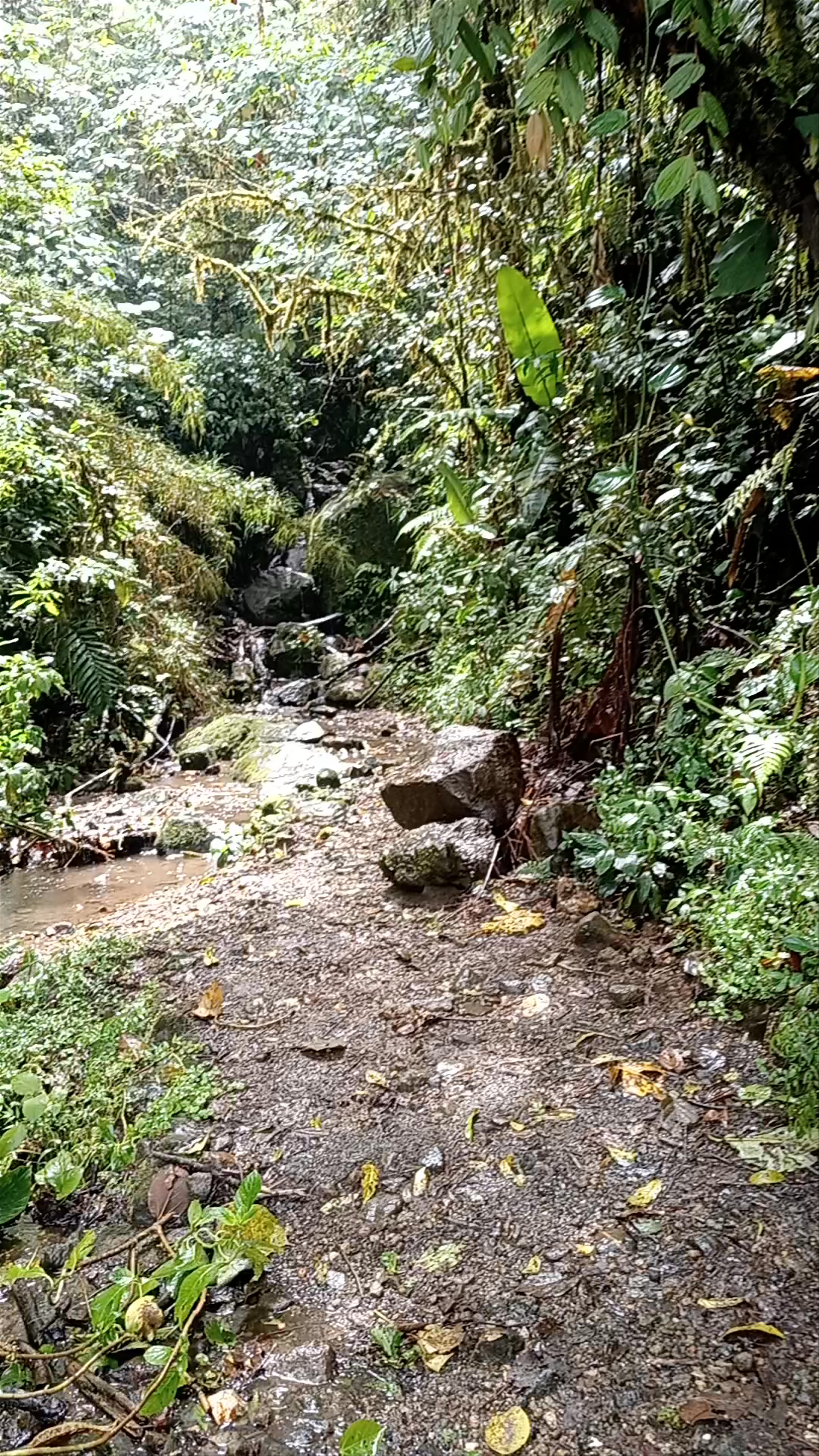 Catarata Cabeza de Tortuga