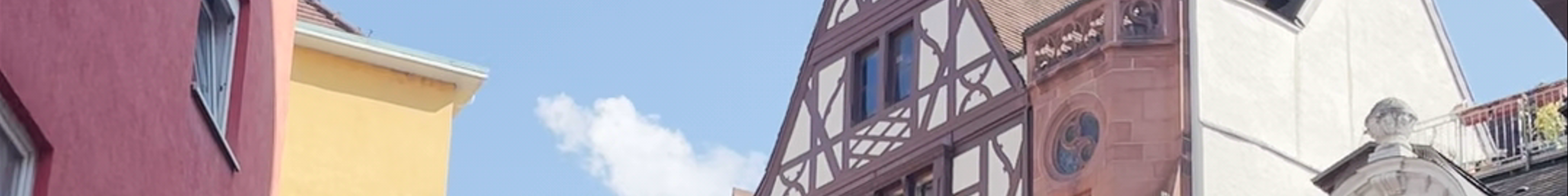Tours & experiences in Freiburg