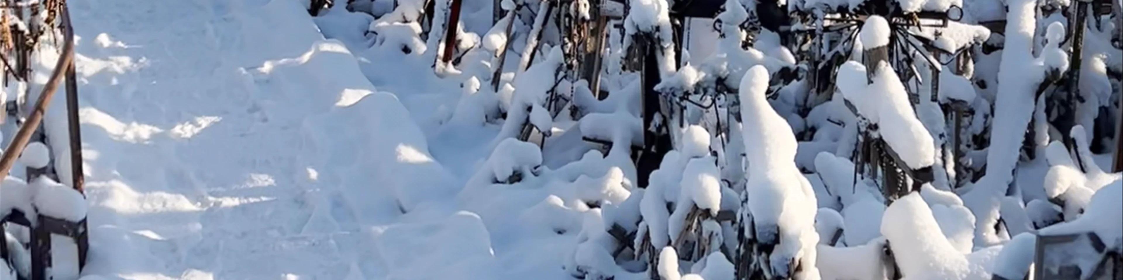 Hill of Crosses