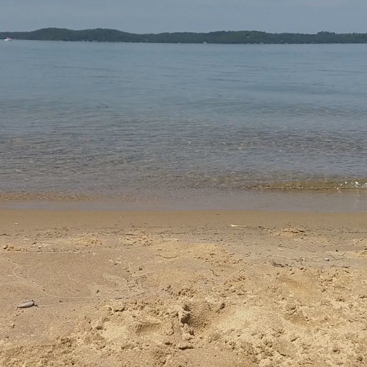 Maple Bay Natural Area - Peace. - Beaches Near Me - Williamsburg, Michigan
