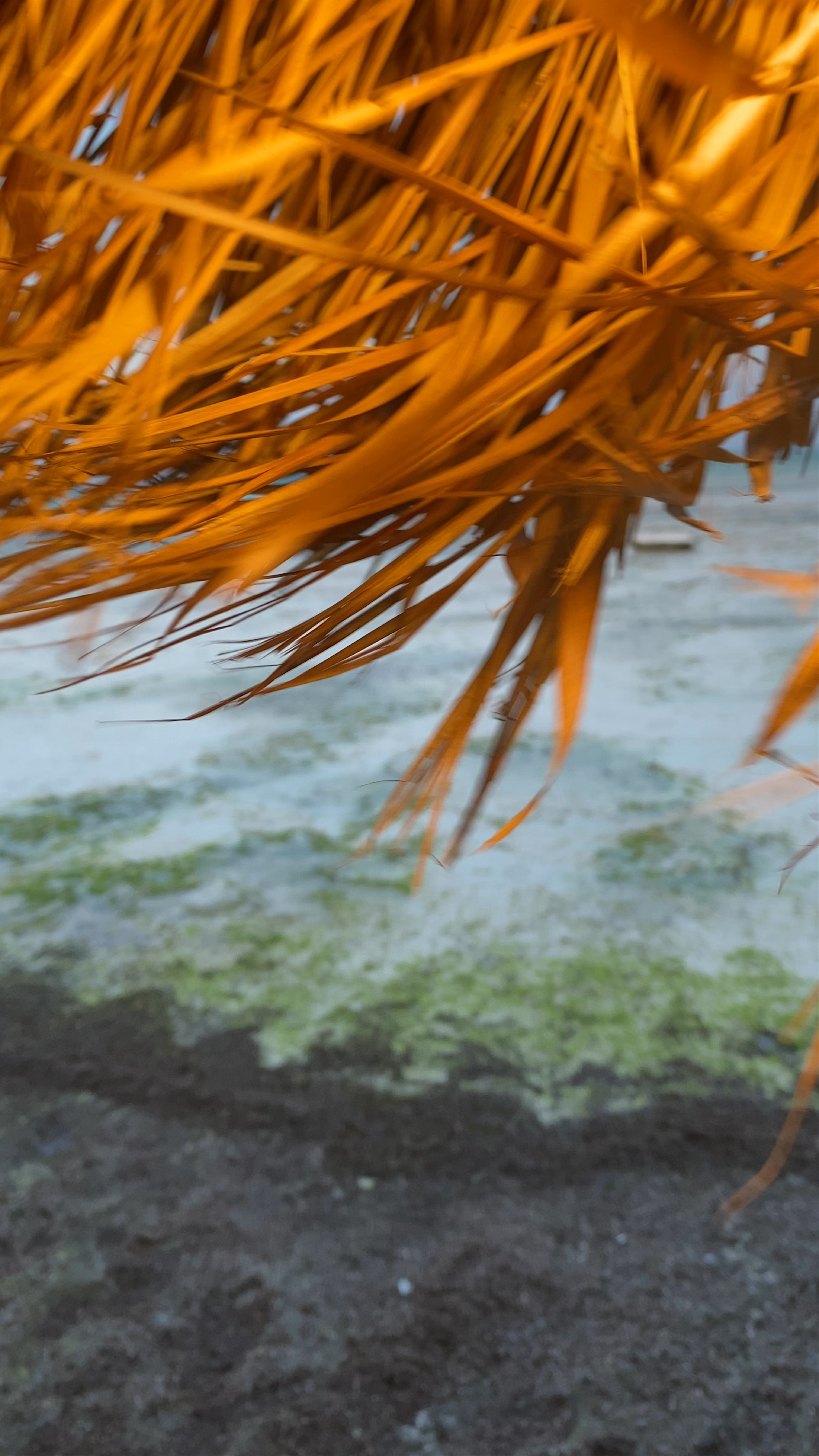 Coral Rocks Zanzibar