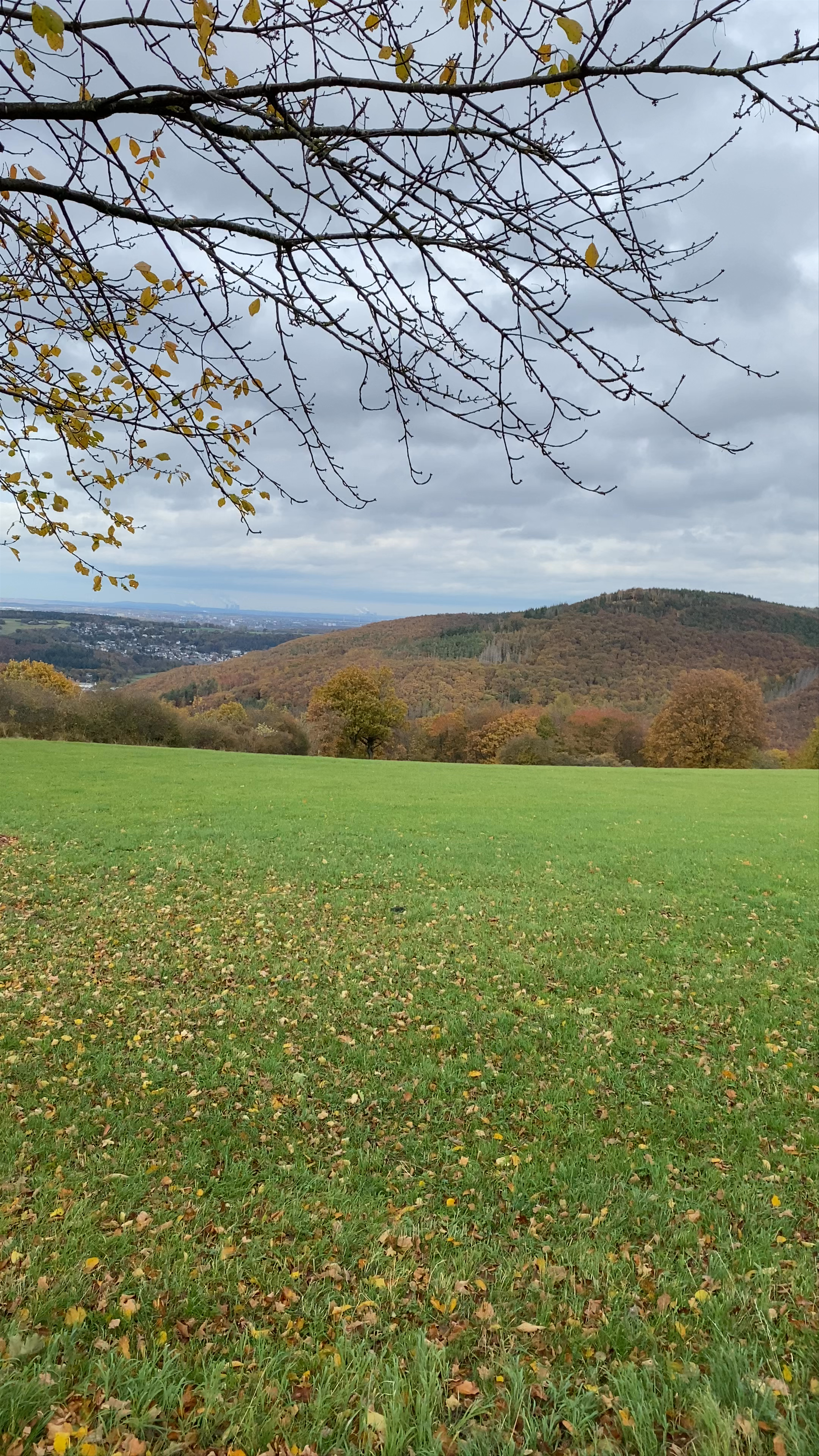 Aussichtspunkt Burgberg