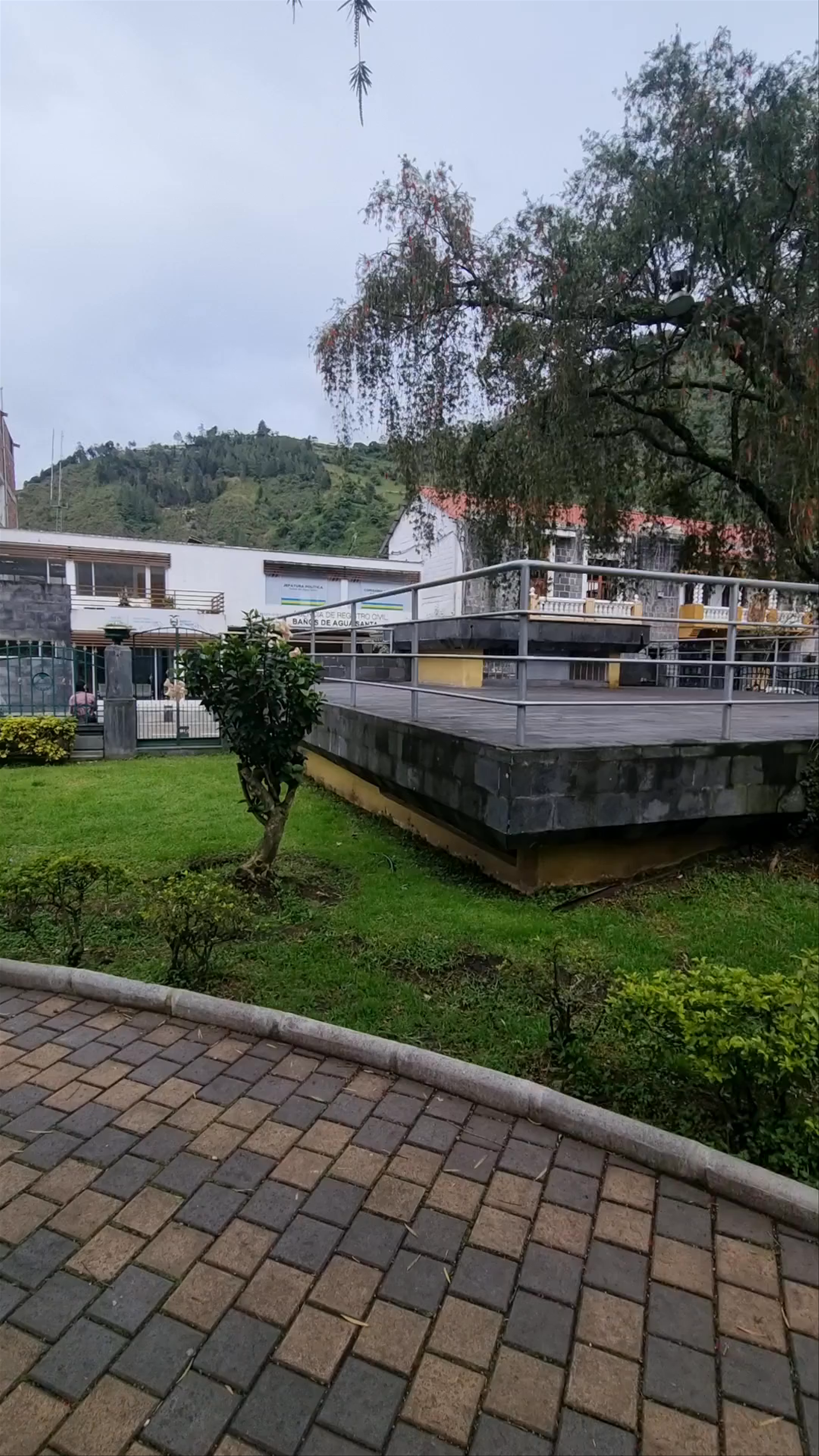 Palomino Flores (Parque Central)
