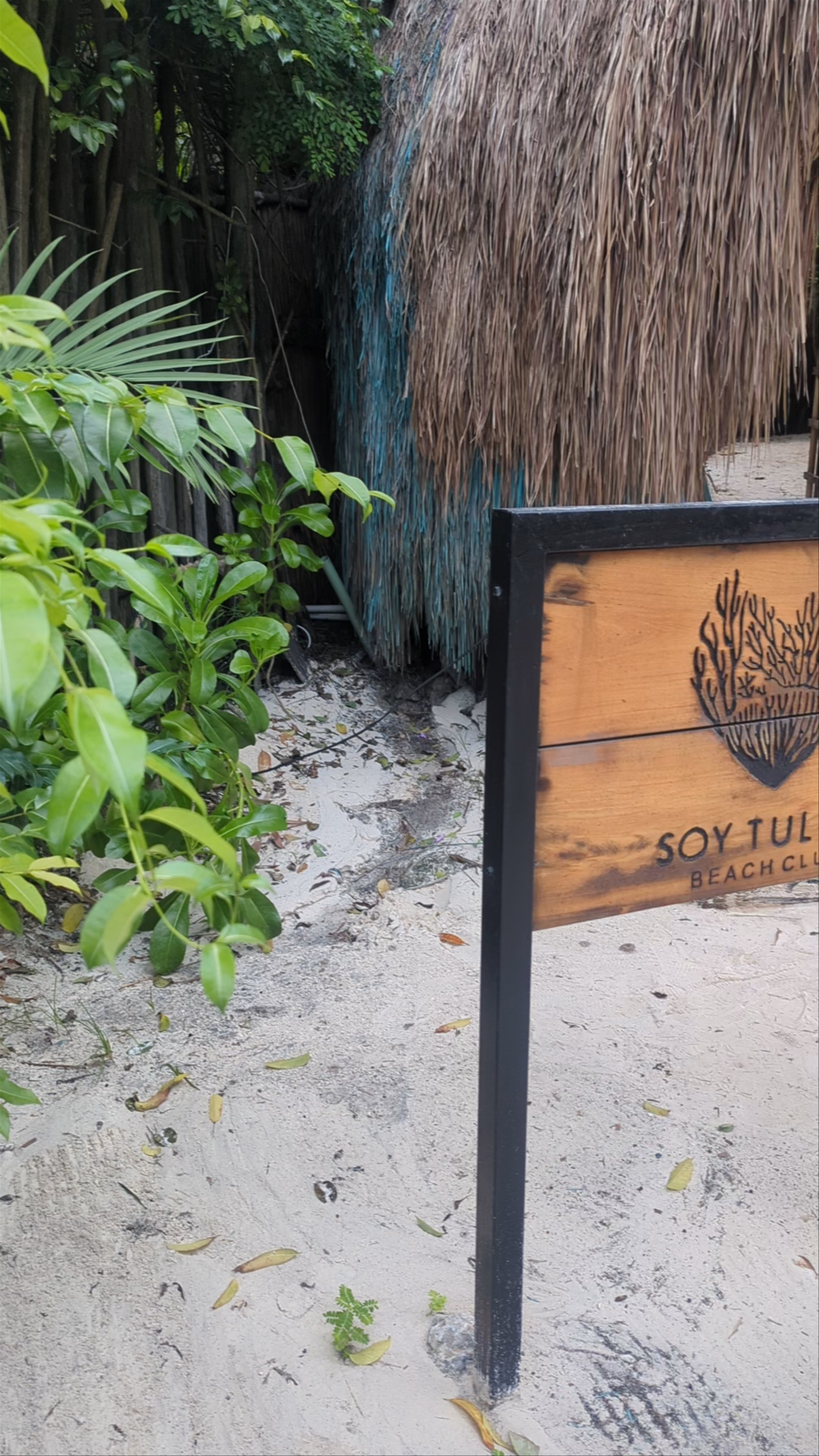 Soy Tulum Beach Club