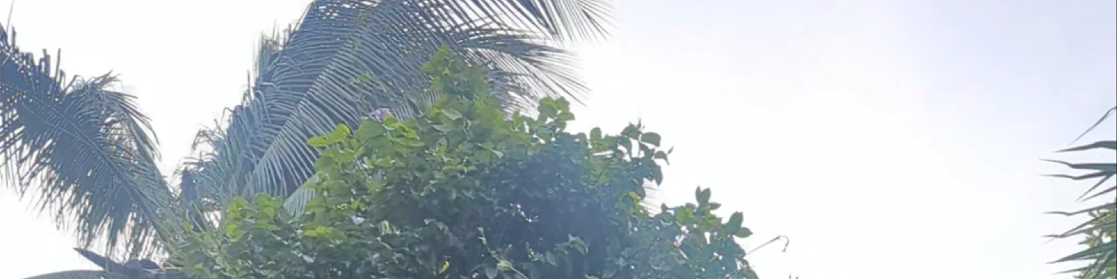 Soy Tulum Beach Club