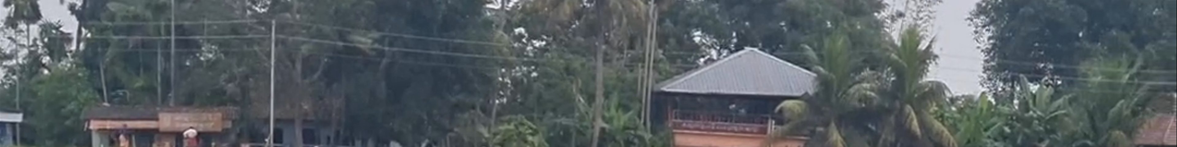 Tours & experiences in Alappuzha