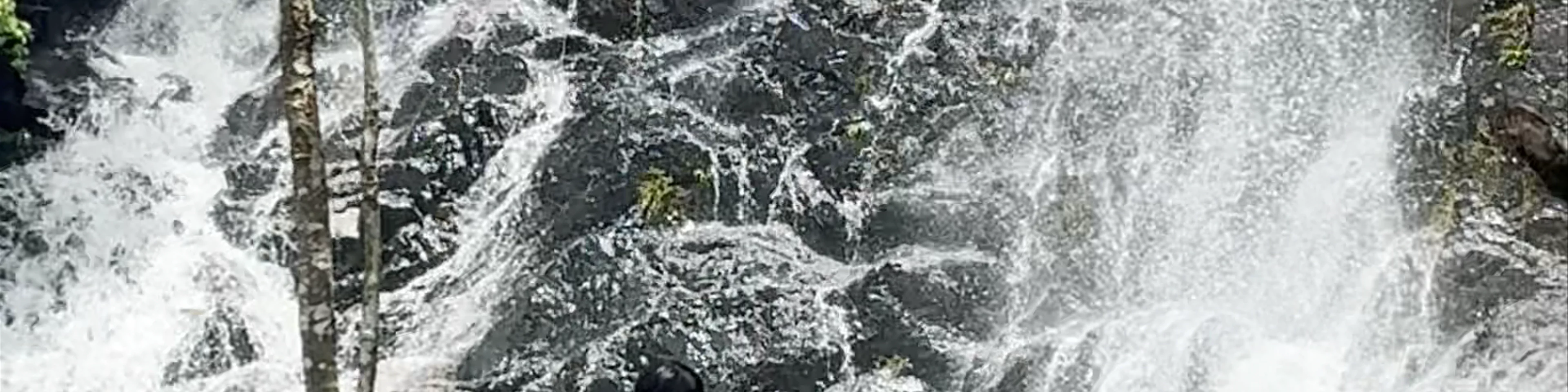 Silver Mine Bay Waterfall Garden