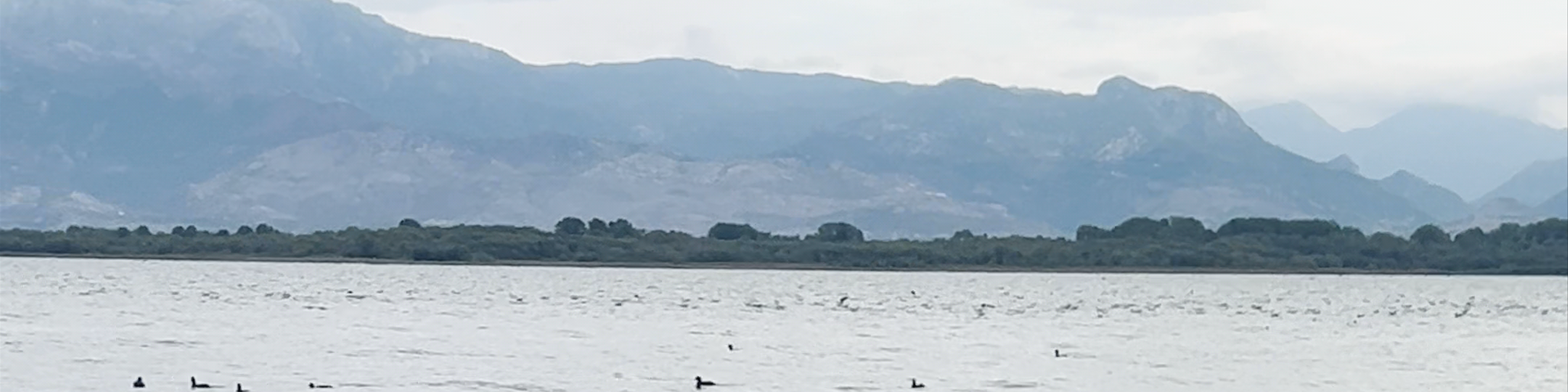 Shkodër