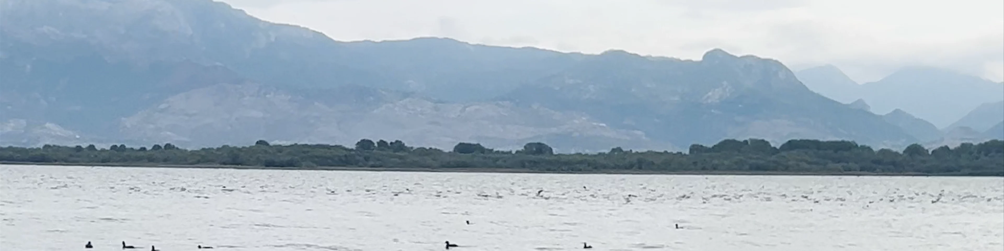 Lake Shkoder