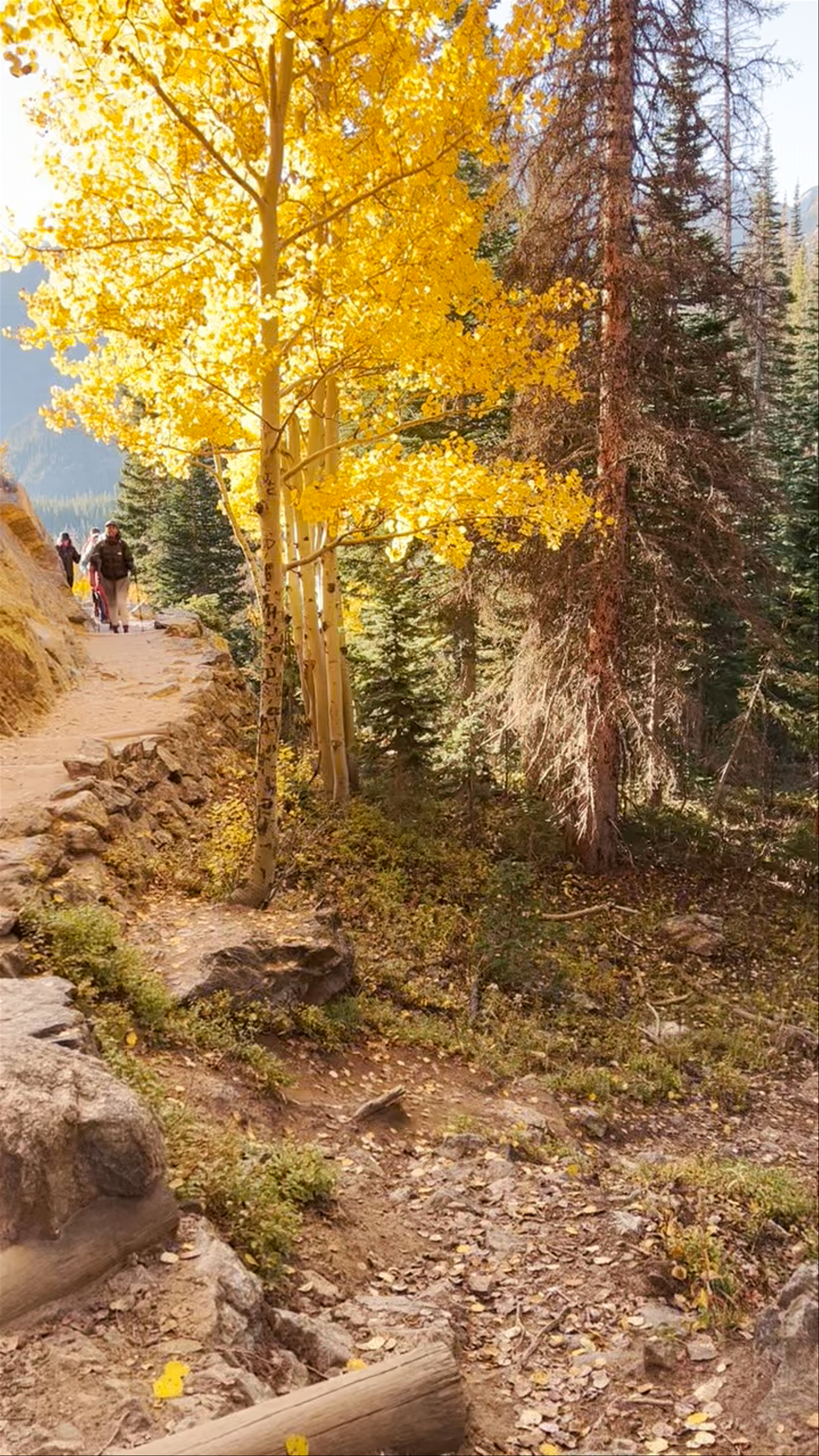 Autumn Hike Around Lake Haiyaha in Colorado's Mountain Wilderness