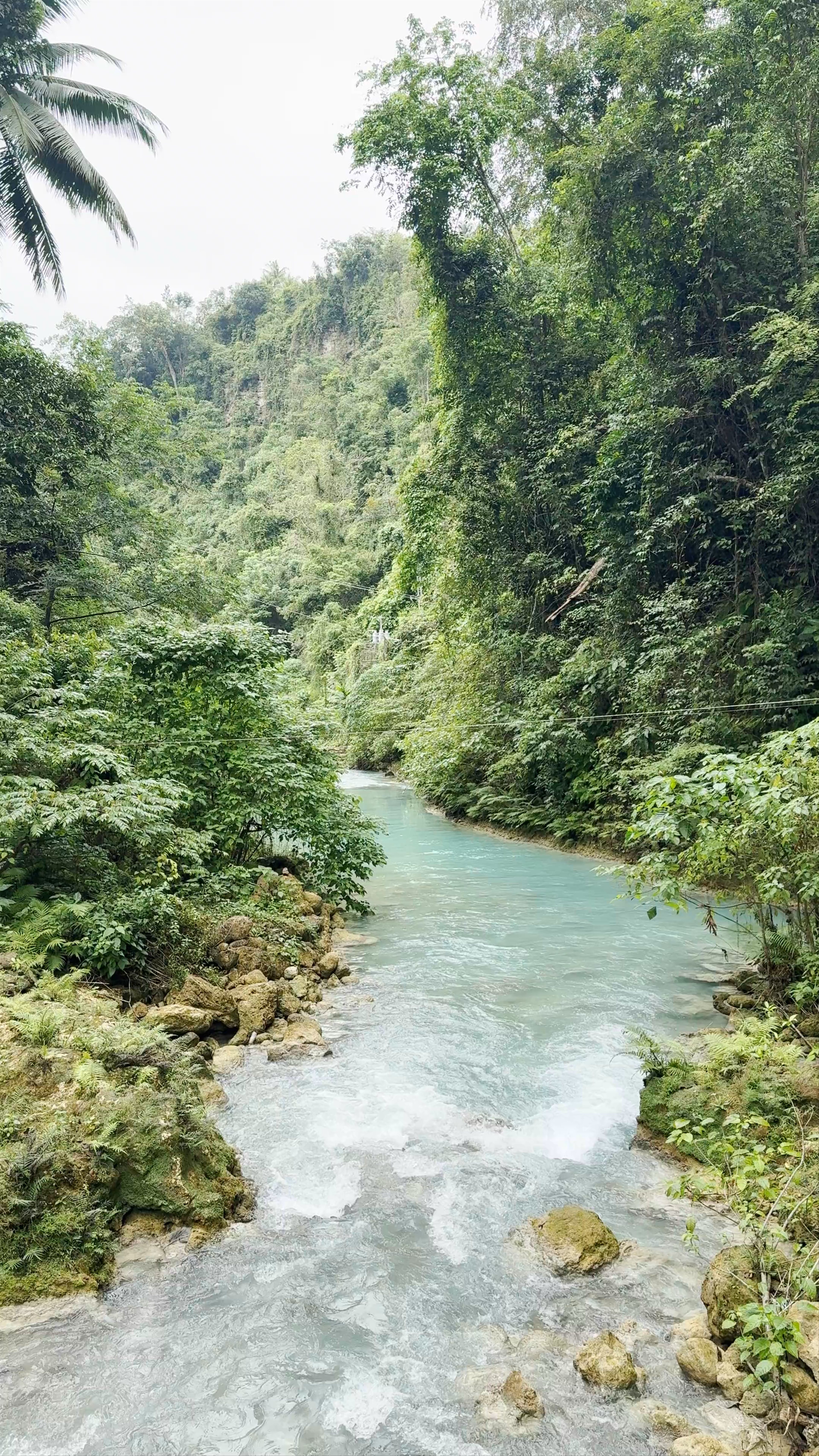 Kawasan Falls