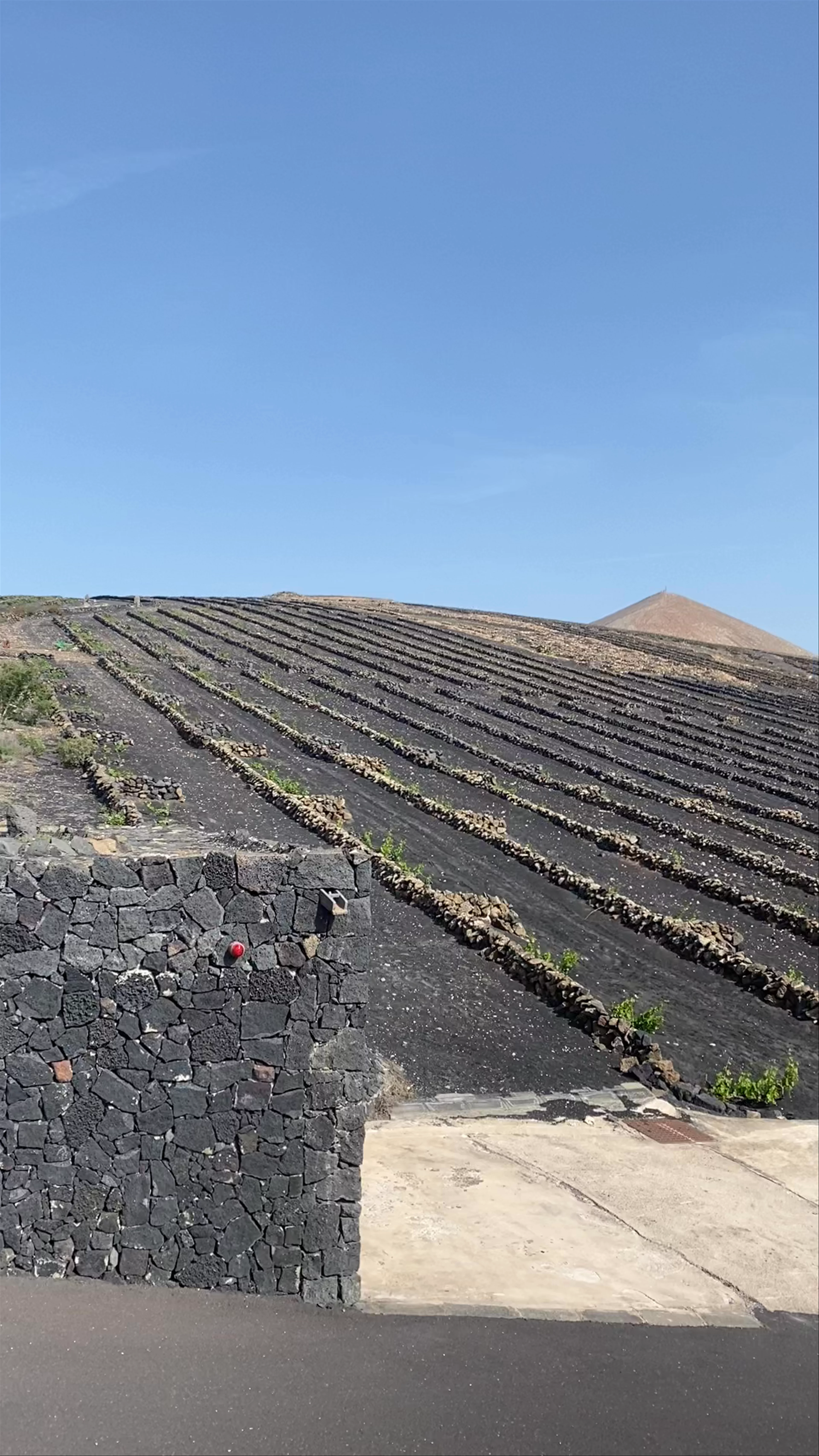 Bodegas Vega de Yuco, Camino El Cabezo, Lanzarote, Spain