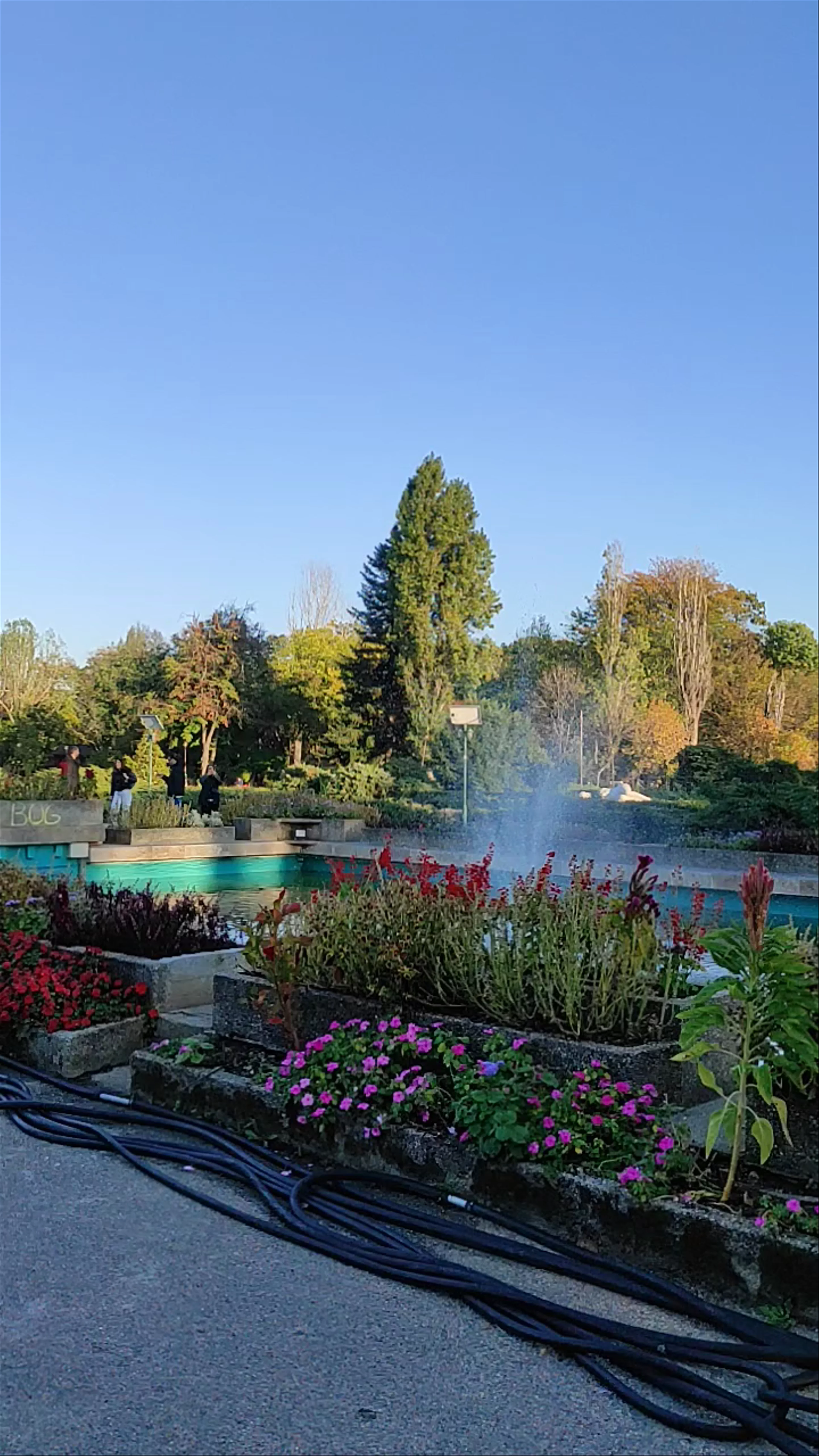 King Mihai I Park