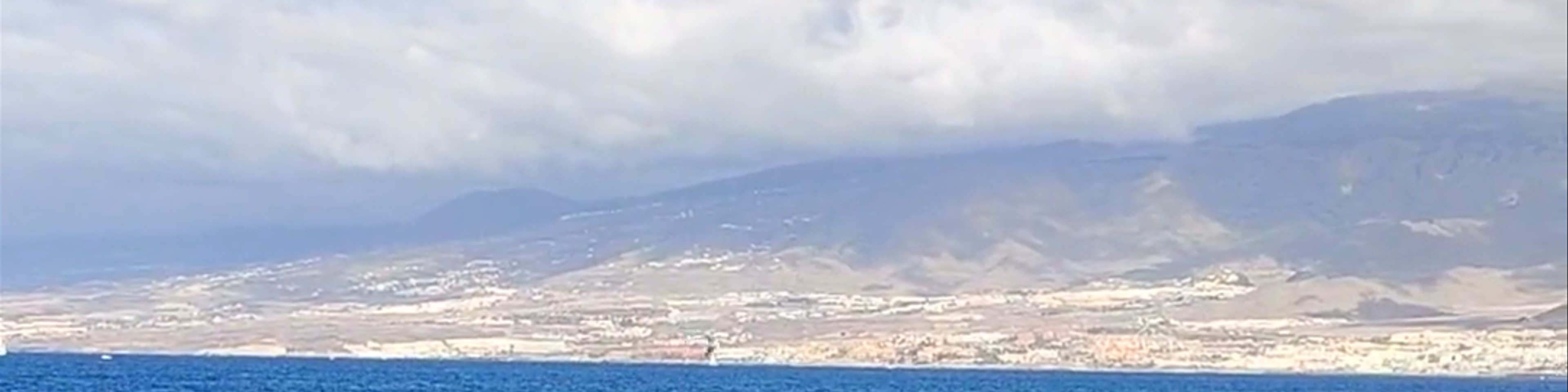 Arona