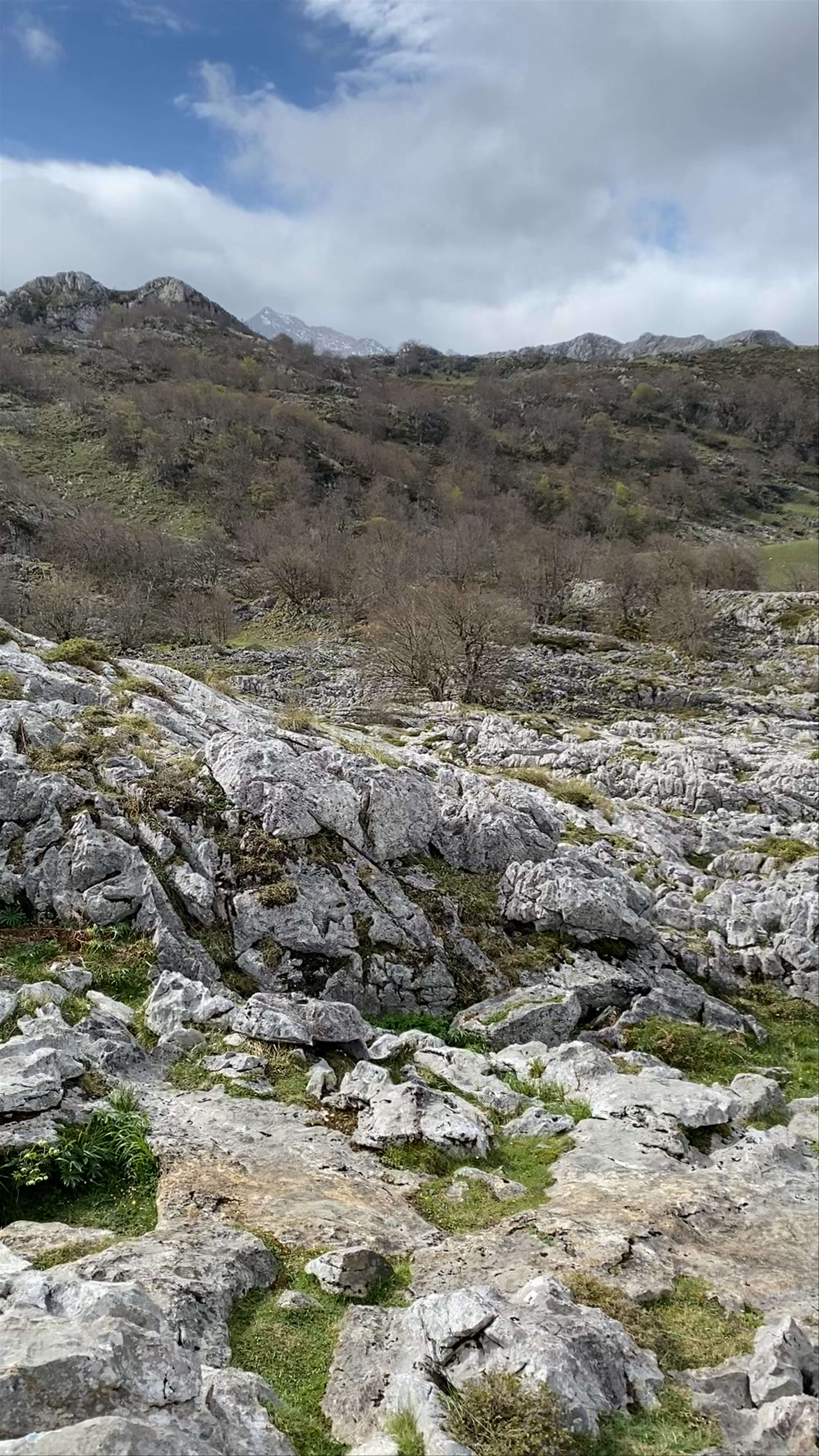Picos de Europa National Park: Majestic Rocky Landscapes and Mountain Serenity in Asturias, Spain